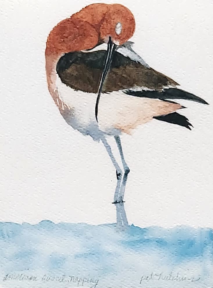 Watercolor painting of a bird standing on one leg