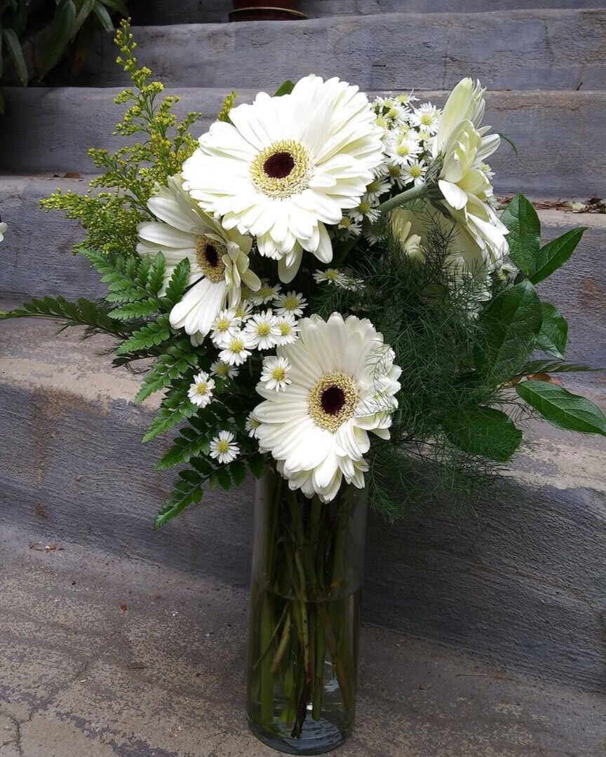 White gerbera daisies in a tall glass vase with greenery
