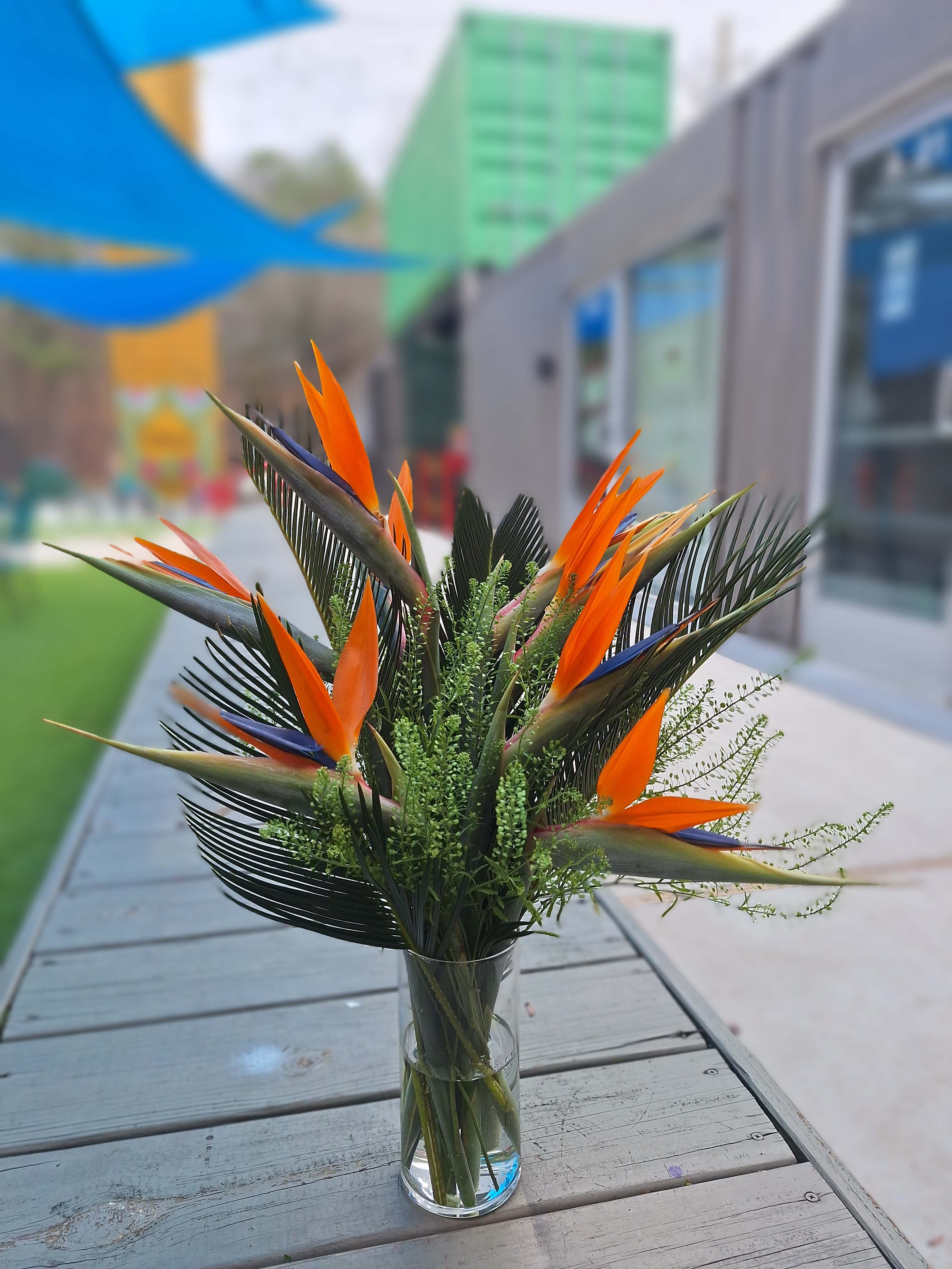Bird of paradise flowers in a clear glass vase