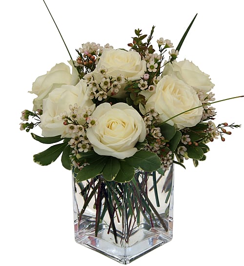 A lovely  contemporary Rose Bouquet - Modern glass cube vase arrangement with six beautiful white roses in a bed of white waxflower and variegated pitt. A lovely, contemporary display of white roses that will perfectly express your sentiments of sympathy and support.