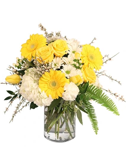 ARTISTIC CREAM &amp; HONEY FLOWER ARRANGEMENT -  Bright, cheerful, and stunning are the perfect words to describe Artistic Cream &amp; Honey. Yellow gerberas, roses, and tulips are partnered with white carnations, hydrangeas, daisy poms, and hypericum. Let us create this arrangement for you today! 