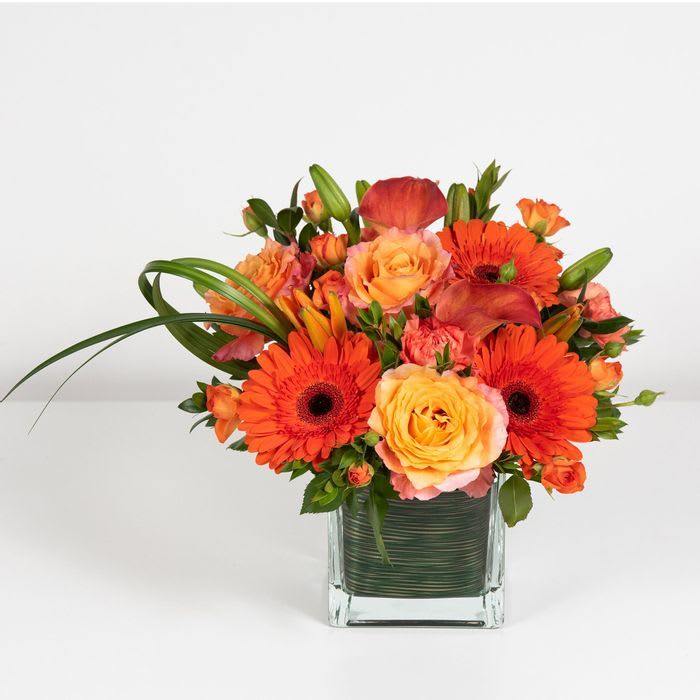 Tangerine Twist - Brighten someone's day with this arrangement featuring roses, mini Calla lilies, gerbera daisies.