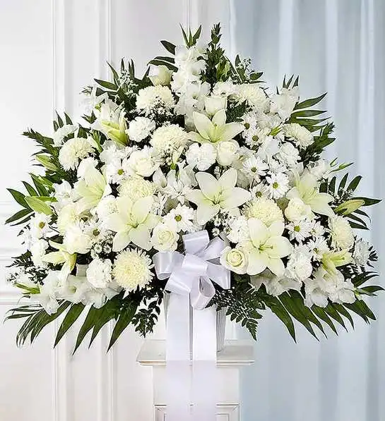 Heartfelt Sympathies White Funeral Standing Basket - Symbolizing peace, serenity and purity, white flowers can help comfort those grieving the loss of someone they loved dearly. Our majestic standing basket arrangement in angelic white is an impressive tribute to their memory. Artistically designed by expert florists with an abundance of pristine white blooms, it is a heartfelt expression of your deepest sympathies.All-white standing basket arrangement with roses, Asiatic lilies, football mums, gladiola, carnations, daisy poms and monte casino; accented with soft, lush greenery and white bow