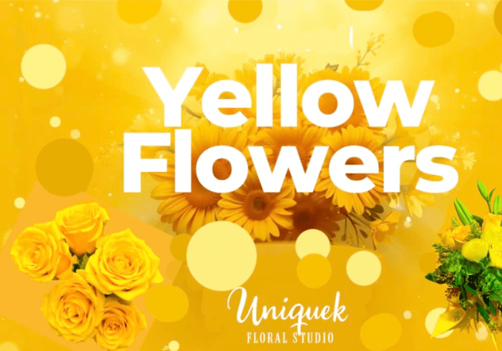 Graphic collage of yellow roses and daisy-style blooms with bold text reading Yellow Flowers.