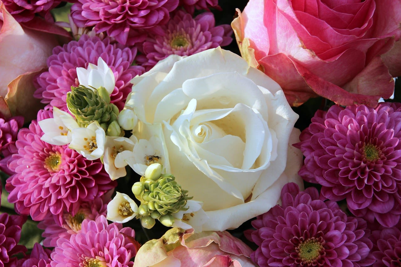Pink chrysanthemums and white roses in a close-up bouquet