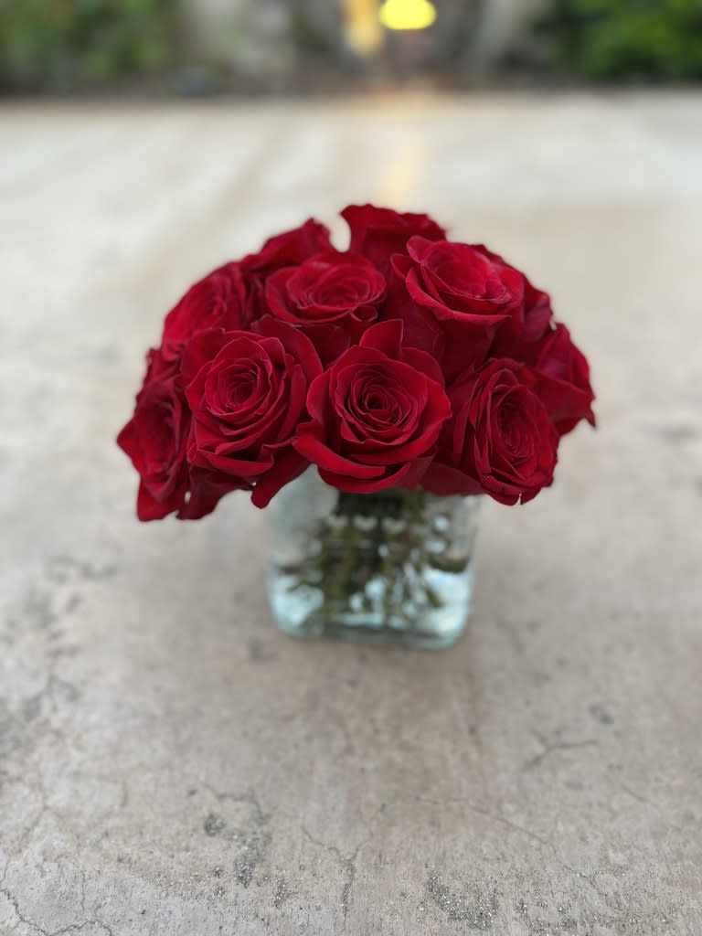 Red roses arranged in a small square glass vase