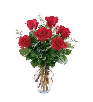 Six red roses with white filler flowers arranged in a clear glass vase