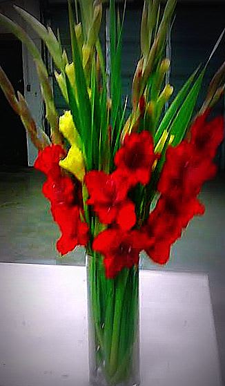 Tall red and yellow gladiolus arrangement in a clear glass vase