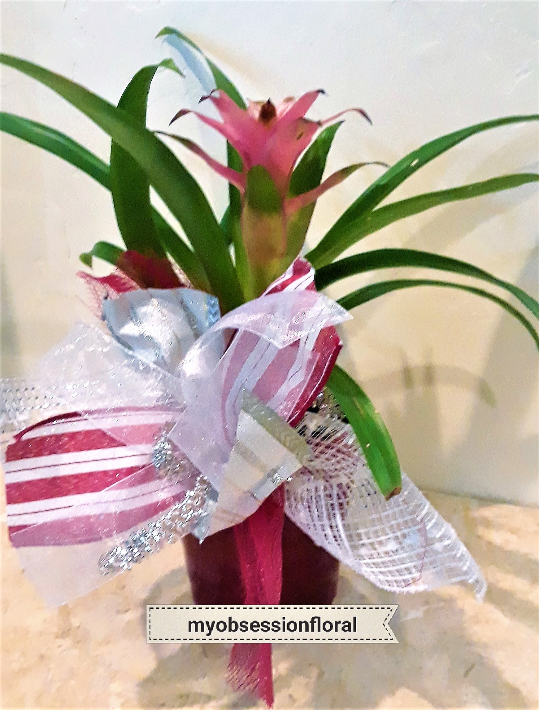 Pink bromeliad in a decorative wrapped pot