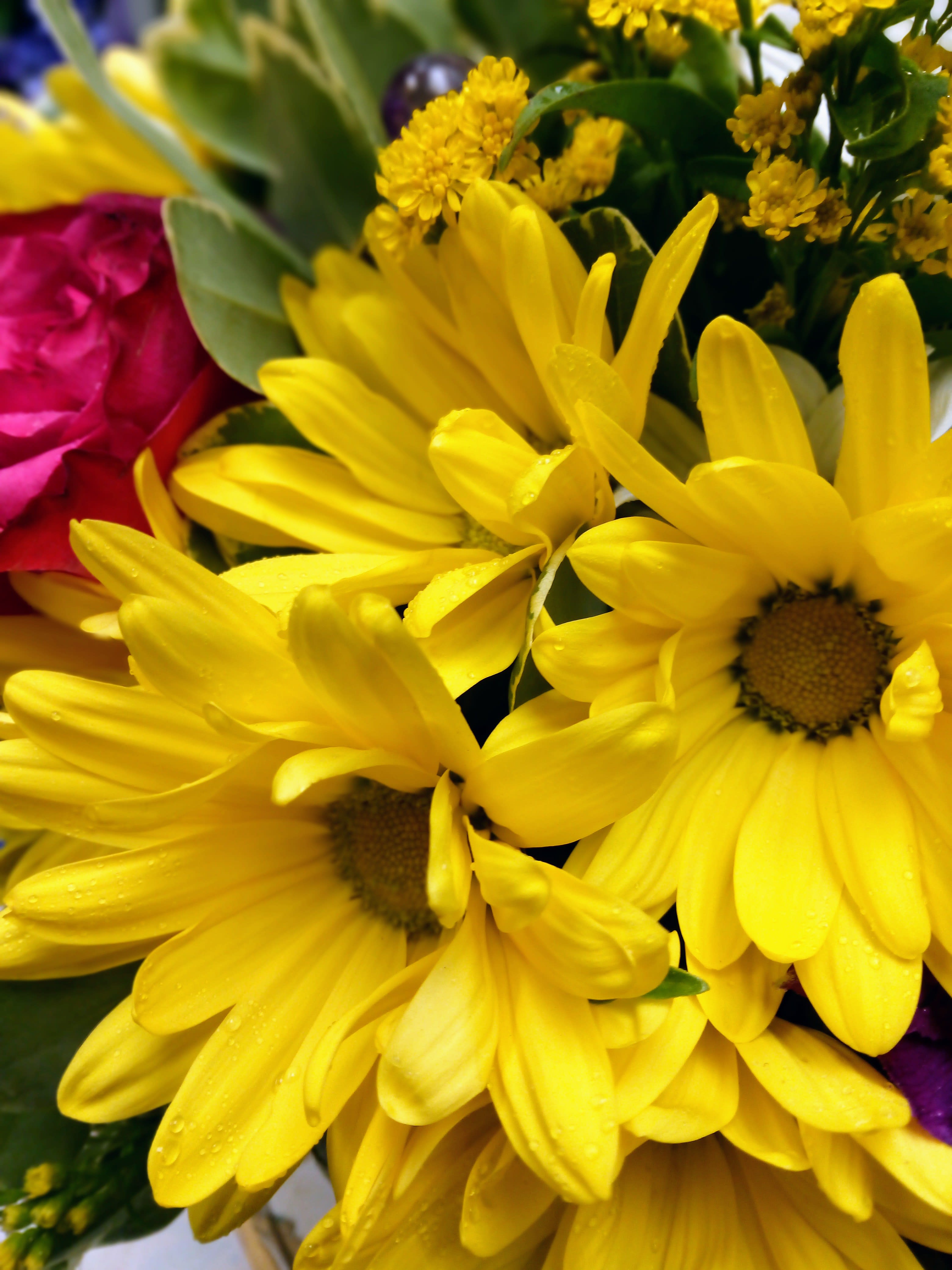 Close-up bouquet of yellow daisies with a pink rose