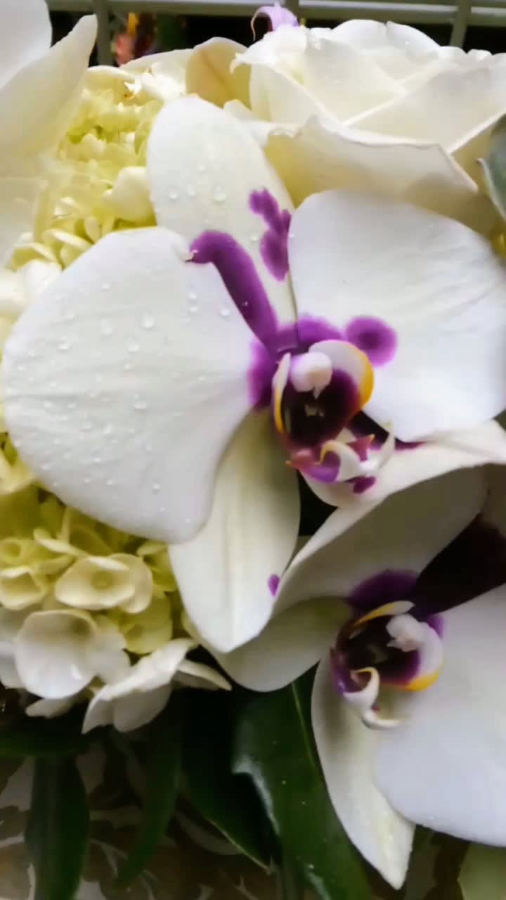 White orchids with purple centers in a floral arrangement