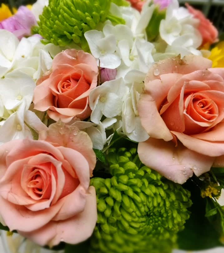 Close-up bouquet of peach roses and white hydrangeas with green mums