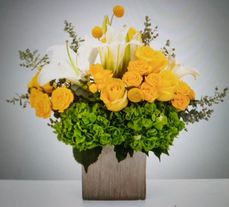 Silver Sunshine. - This arrangement features container filled with lilies, roses,  and hydrangea. Perfect gift for any occasion!  