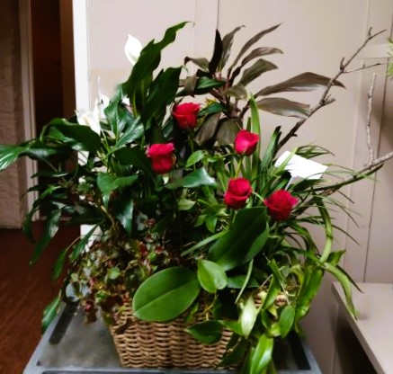 Basket arrangement with red roses and lush green foliage