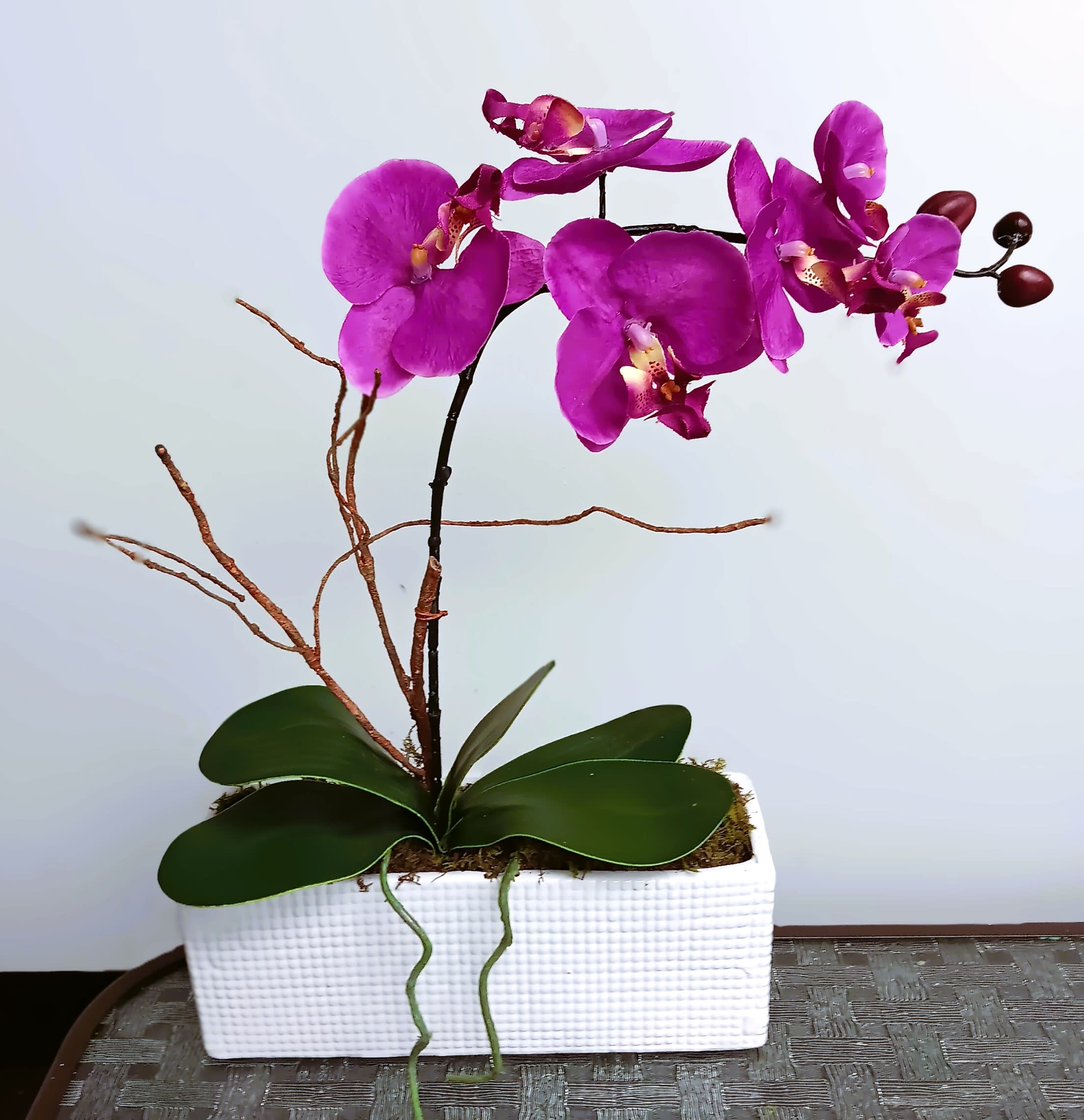 Purple orchid plant in a white rectangular planter