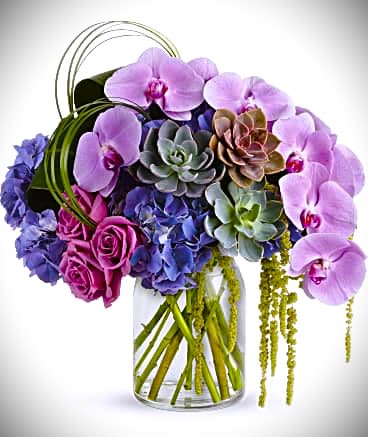 Purple orchids and succulents arranged in a glass vase