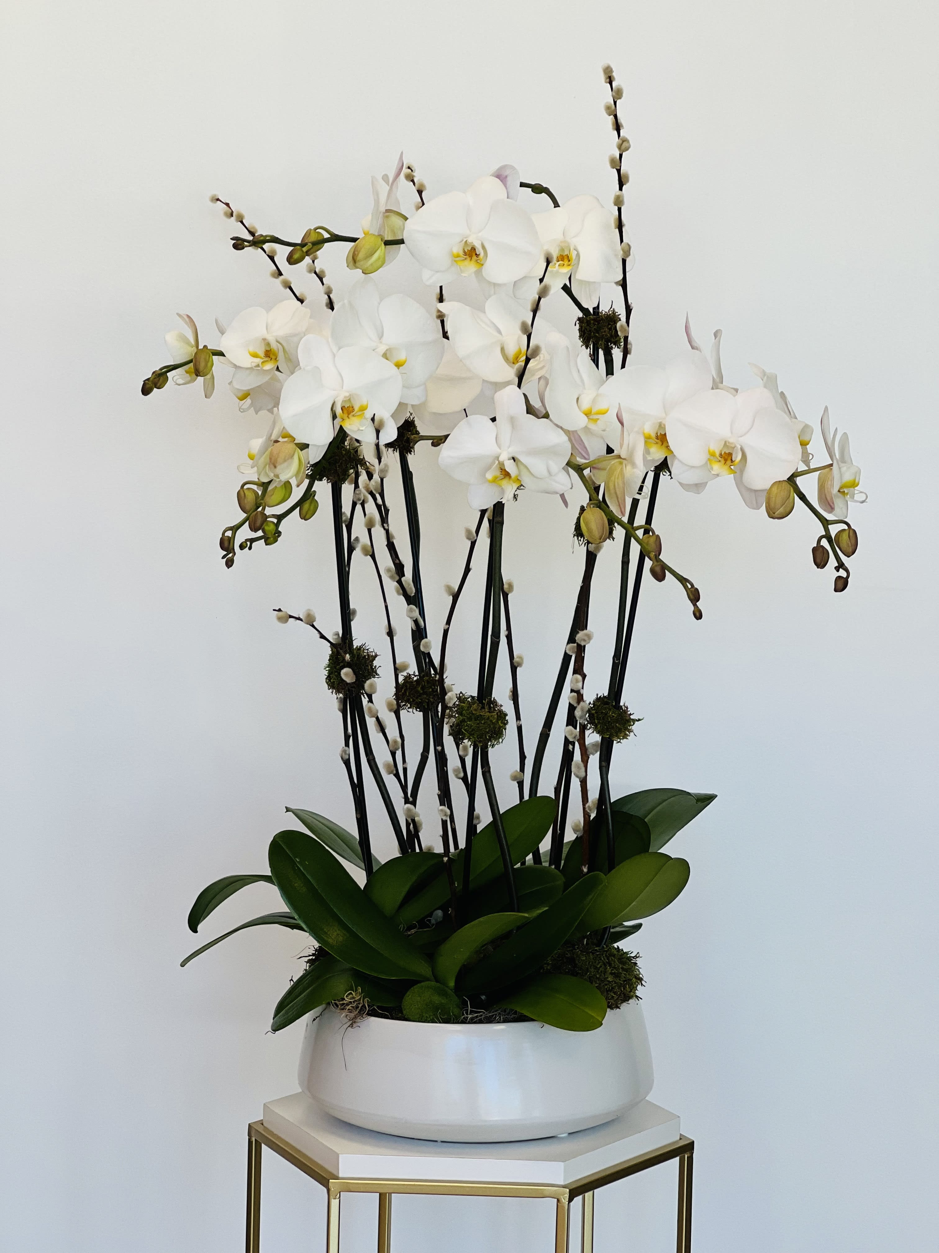 White orchid arrangement in a white bowl planter