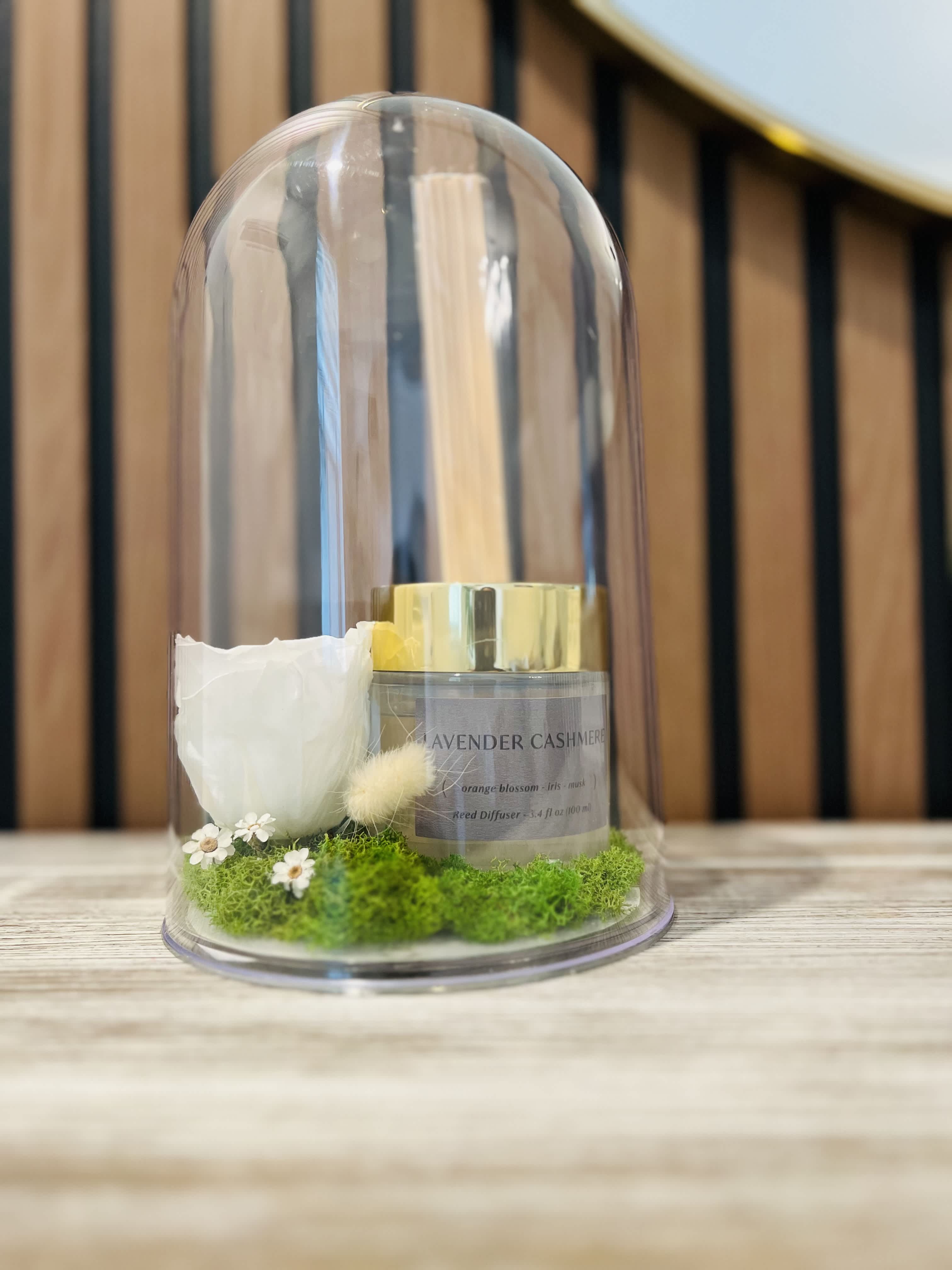 White rose and diffuser under a clear dome with moss
