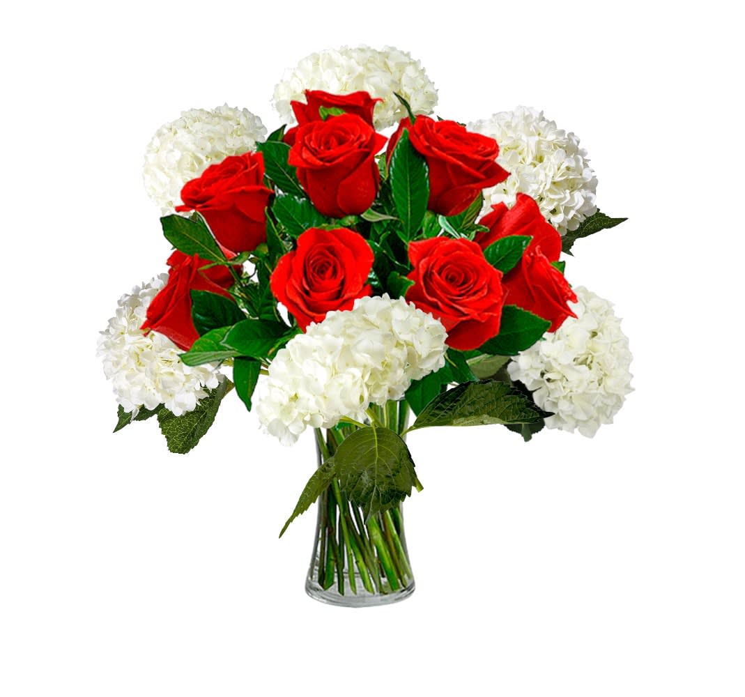 Red roses and white hydrangeas in a clear glass vase