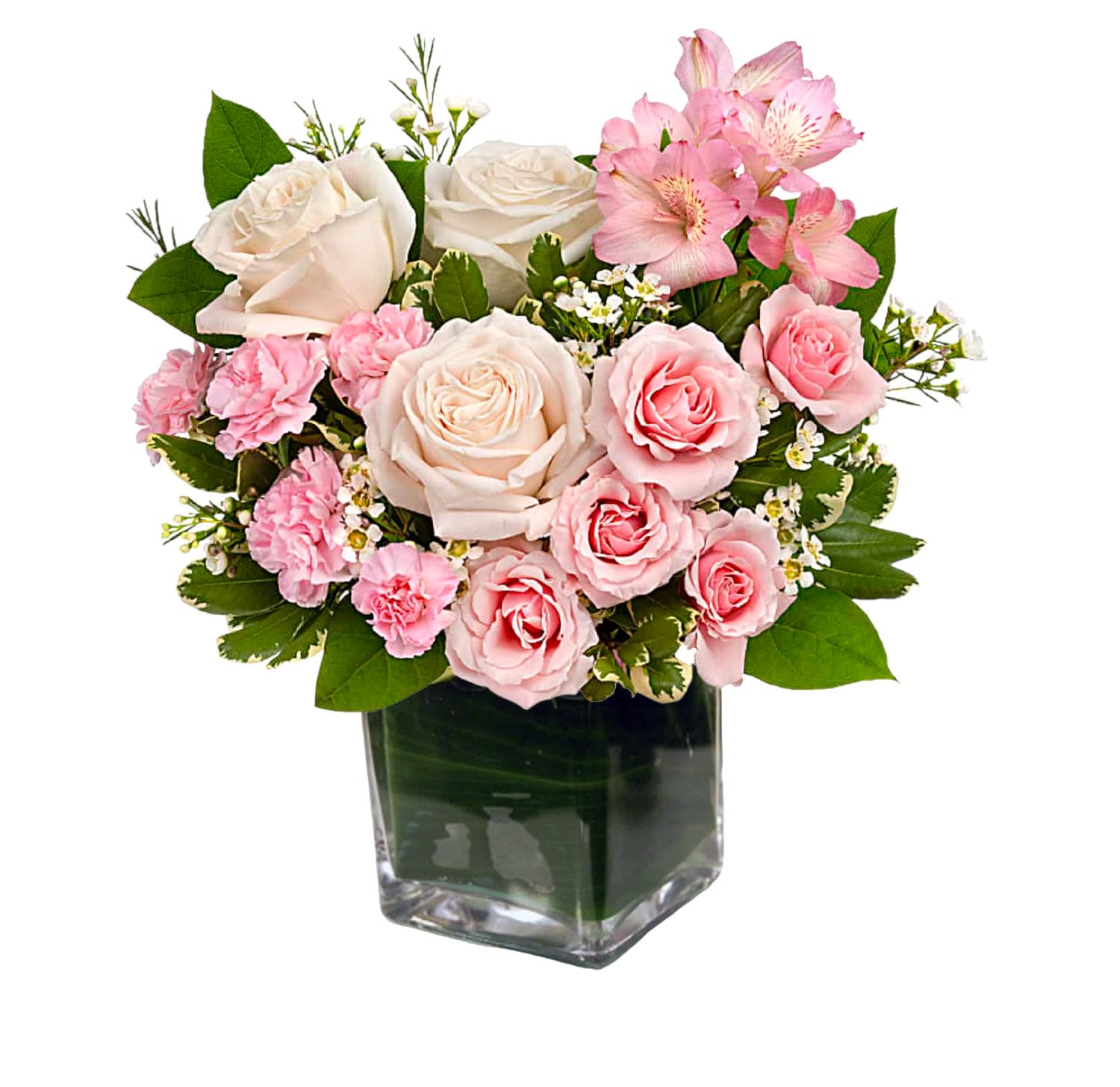 Pink and white roses in a square glass vase