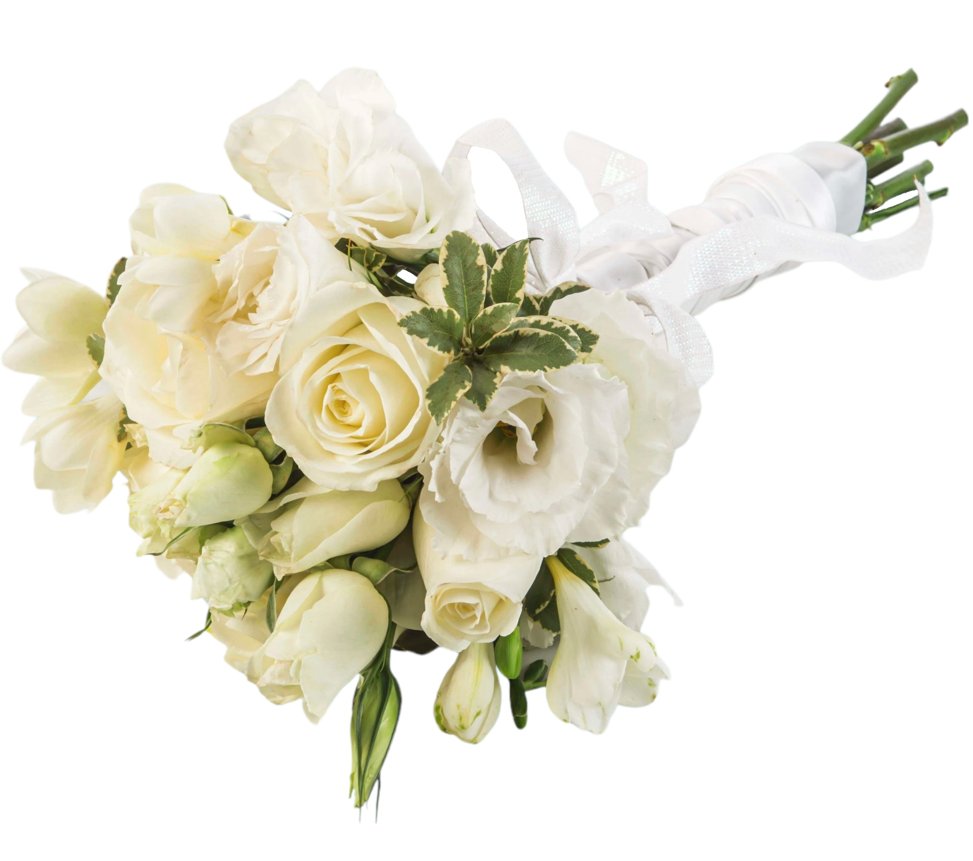 White Petite Handheld Flower Bouquet by BloomNation™  - A classic white rose bouquet hand tied with ribbon. The perfect accessory for any formal event including proms, weddings, and debutante balls.   DETAILS Handheld bouquet featuring regular roses, spray roses, lisianthus, and freesia is beautifully accented with greens and wrapped with white ribbon.  VASE NOT INCLUDED Orientation: All-Around Item #NF-895  FLORIST-TO-DOOR Same day flower delivery on most orders placed online by 12 pm or 10 am on weekends PST.  BLOOM DETAILS Roses Spray Roses Lisianthus Freesia Greenery  The Standard Bouquet - Shown The Deluxe Bouquet -  The Premium Bouquet -   How to place an order? 1. You can place an order directly on this secure website OR 2. You can call in your order by dialing: (323) 262 - 9238 OR 3. You can visit our store (appointment recommended 323.262.9238)  NINFA'S FLOWERS 2405 WHITTIER BLVD. LOS ANGELES, CA. 90023  ATTENTION: *Please note that on busy holidays, Valentine's Day, and Mother's Day, we cannot verify if the recipient received the flowers until the following day. You can verify delivery on the website after 10:00 pm, call 323.262.9238 the following day after 10:00 am, or contact the recipient directly. Thank you for your patience and understanding. 