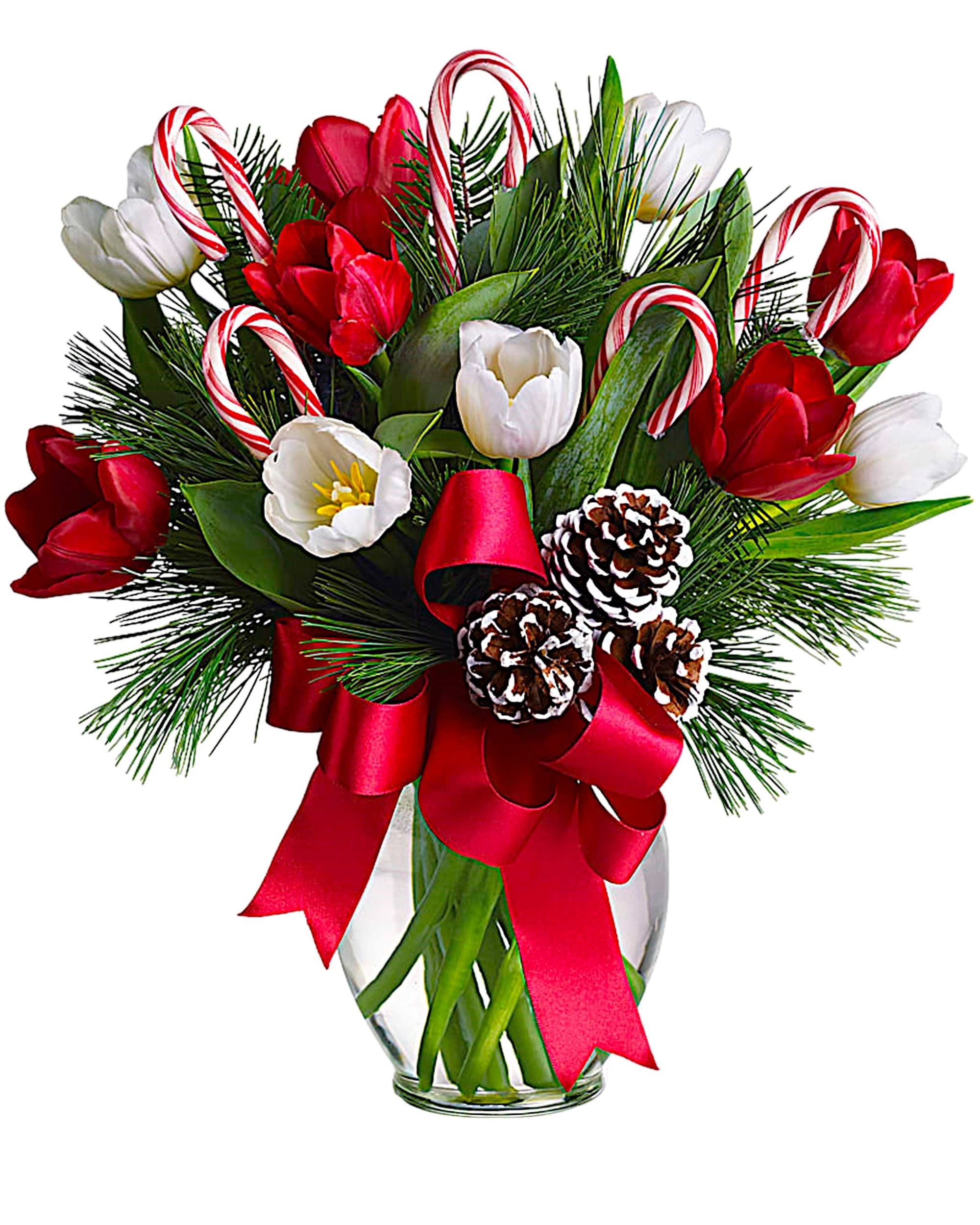 Red and white tulips with candy canes in a glass vase
