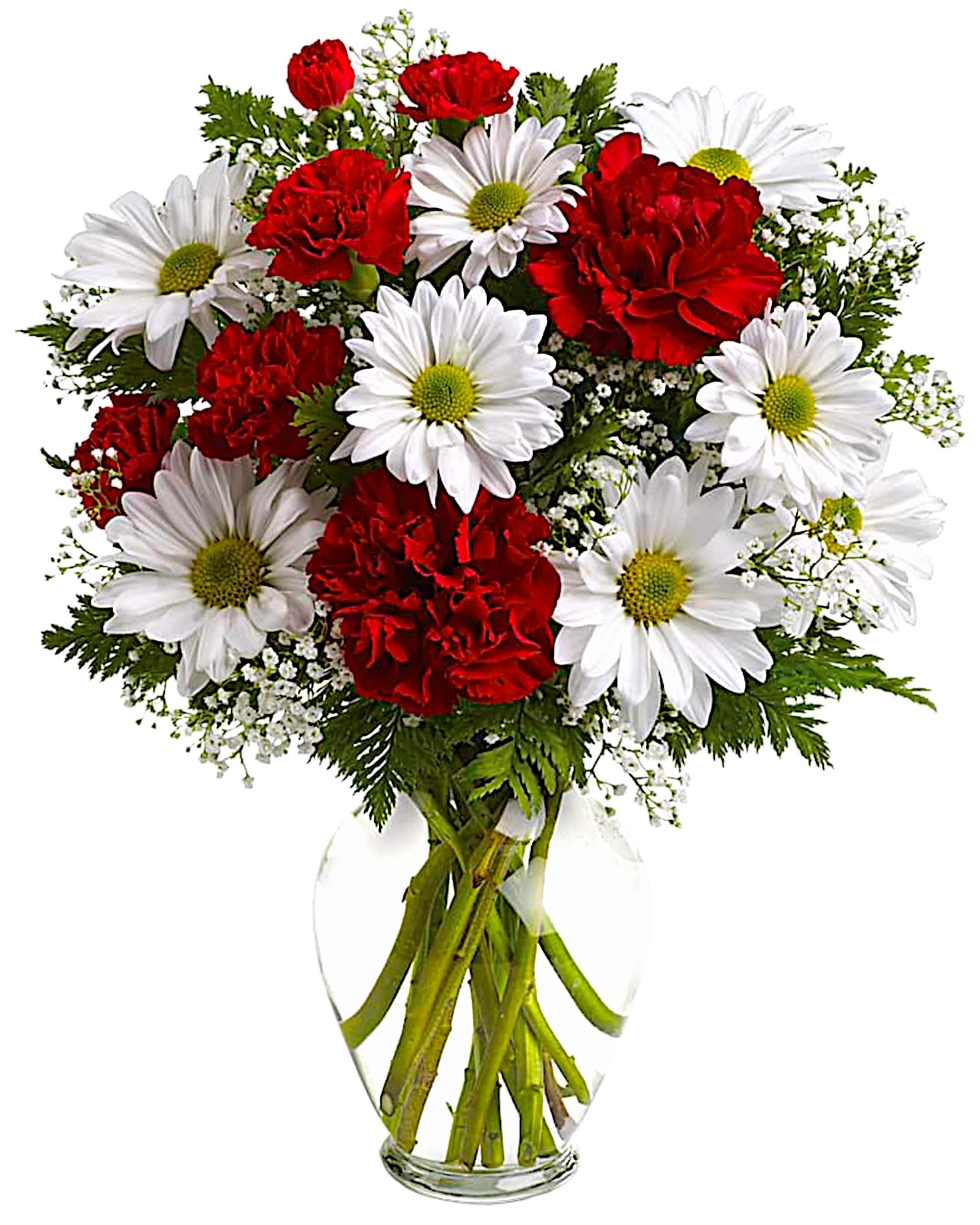Bouquet of red carnations and white daisies in a clear glass vase
