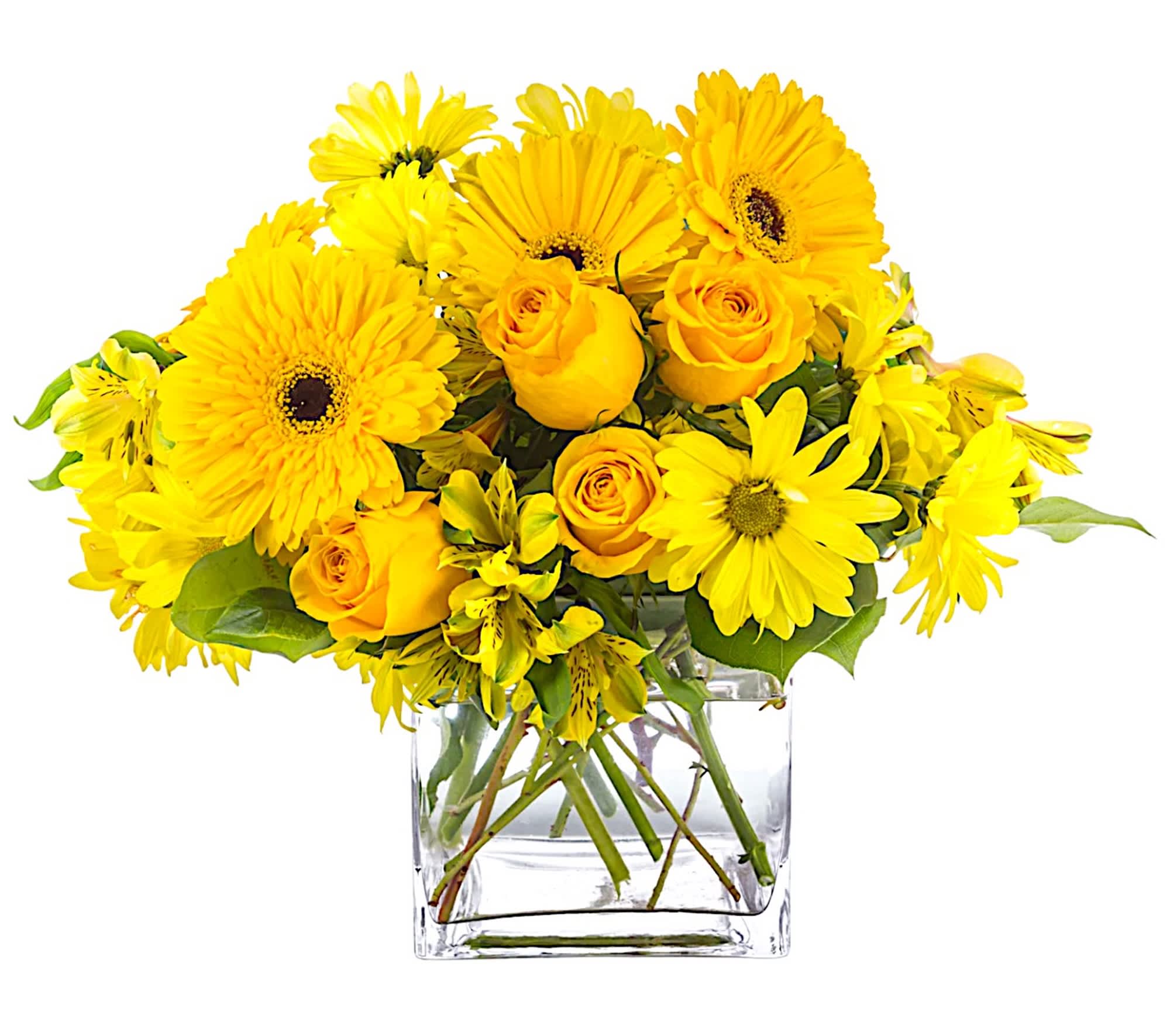 Lemonade by BloomNation™ - This monochromatic arrangement can make anybody feel a little more cheerful. Lemonade by BloomNation™ lifts the spirits and makes you think of good old times. A perfect gift to send to somebody who needs a little extra joy in their life.  DETAILS Includes yellow roses, yellow daisy-mums, yellow gerbera daisies, yellow alstroemeria. Presented in clear square glass vase.  VASE INCLUDED Orientation: All-Around Item #NF-394  FLORIST-TO-DOOR Same day flower delivery on most orders placed online by 12 pm or 10 am on weekends PST.  BLOOM DETAILS Roses Alstroemerias Daisy-Mums Gerbera Daisies Greenery  The Standard Arrangement is approx. 10"H x 12"W. The Deluxe Arrangement is approx. 10"H x 12"W. The Premium Arrangement is approx. 10"H x 12"W.  How to place an order? 1. You can place an order directly on this secure website OR 2. You can call in your order by dialing: (323) 262 - 9238 OR 3. You can visit our store (appointment recommended 323.262.9238)  NINFA'S FLOWERS 2405 WHITTIER BLVD. LOS ANGELES, CA. 90023  ATTENTION: *Please note that on busy holidays, Valentine's Day, and Mother's Day, we cannot verify if the recipient received the flowers until the following day. You can verify delivery on the website after 10:00 pm, call 323.262.9238 the following day after 10:00 am, or contact the recipient directly. Thank you for your patience and understanding. 