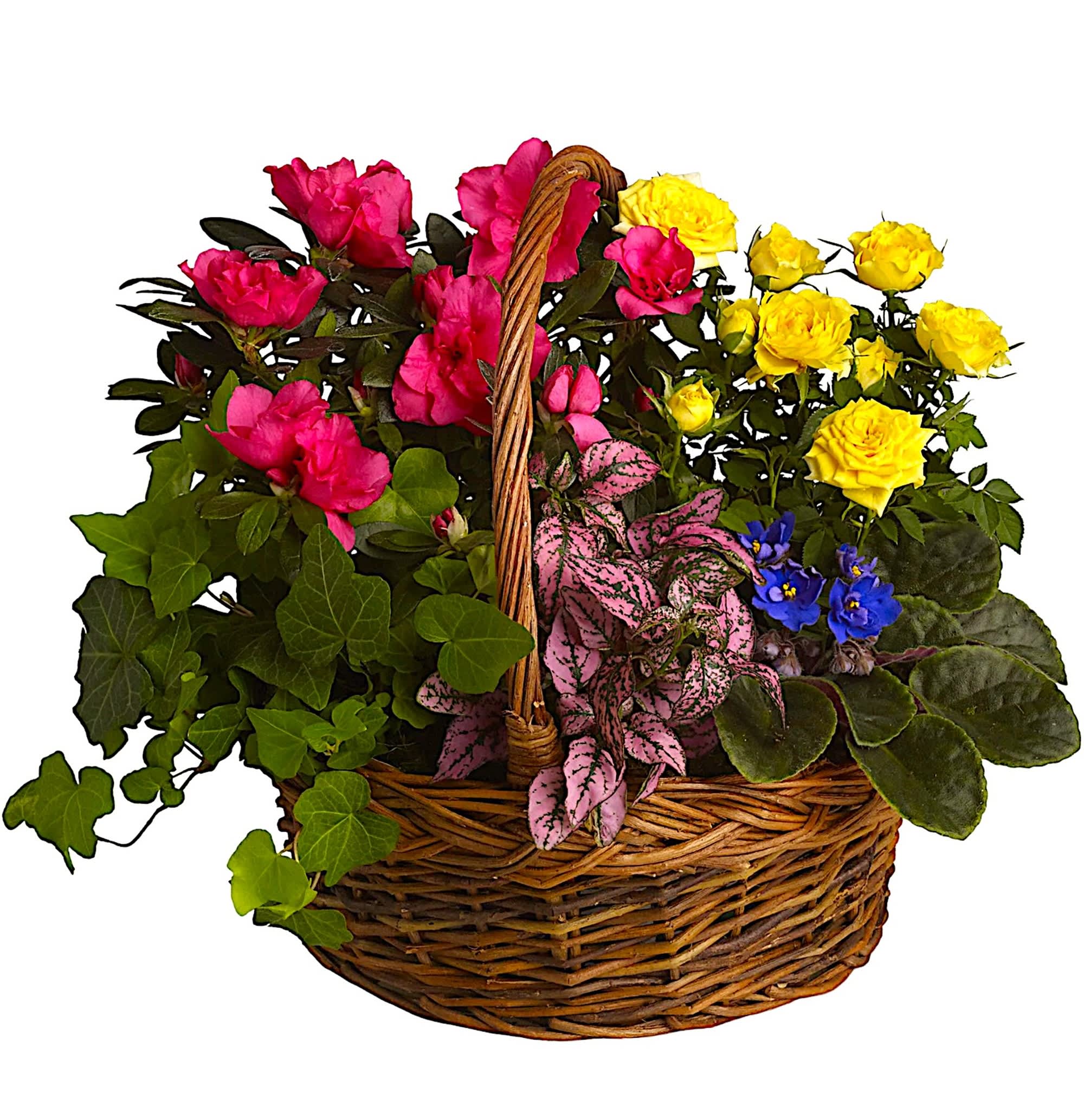 Basket of pink and yellow roses with mixed foliage and small blue flowers