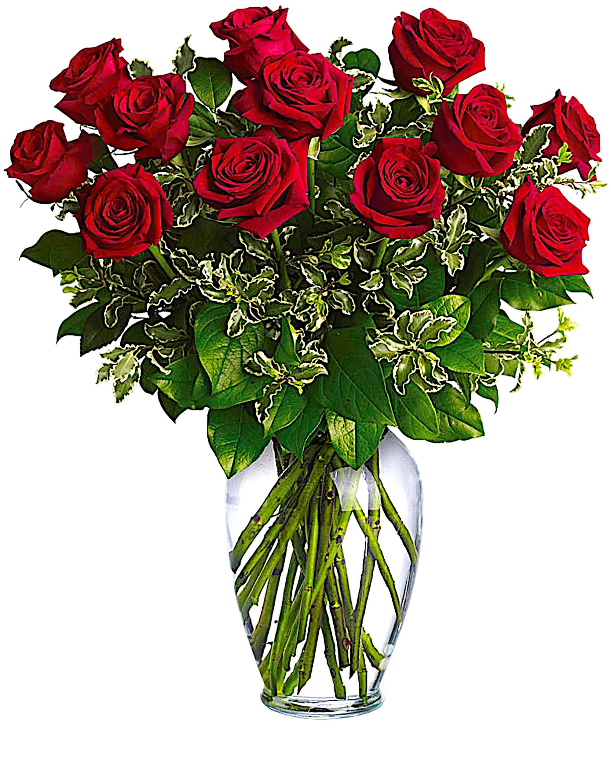 Red roses arranged in a clear glass vase with variegated greenery