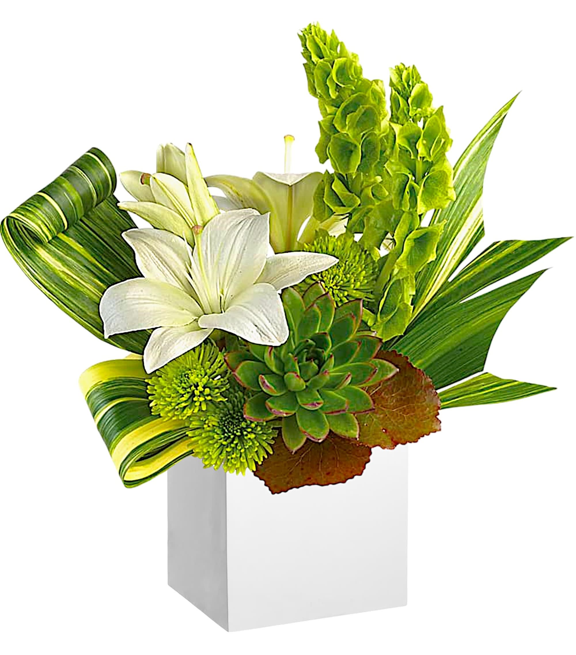 White lilies and green succulents in a white box with striped leaves