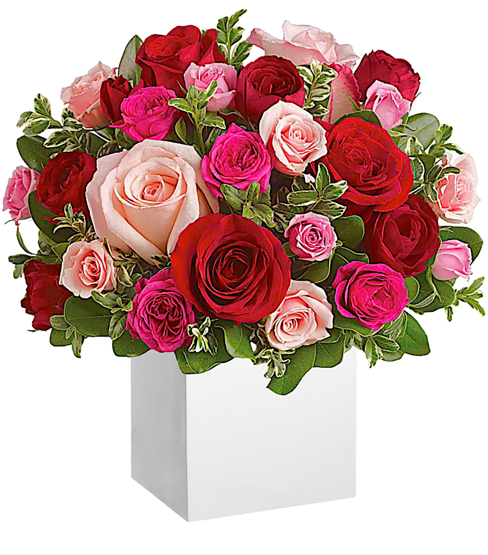 Mixed pink and red roses arranged in a white box