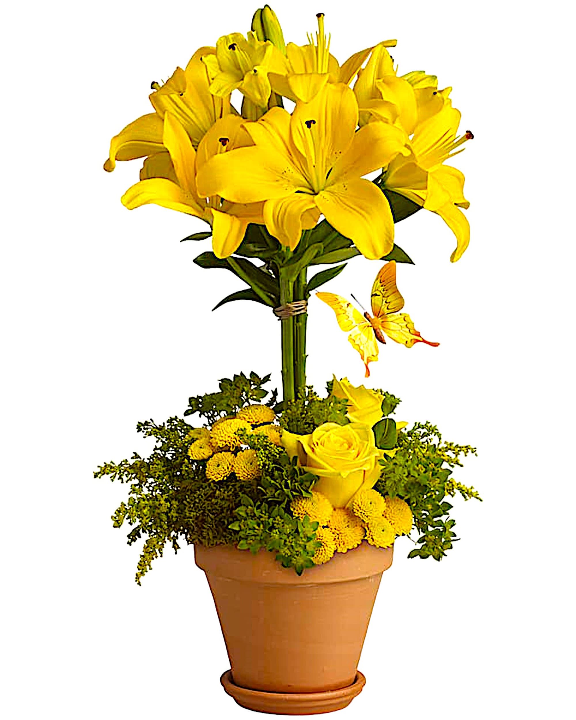 Yellow lilies and roses arranged in a terracotta pot with a butterfly accent.