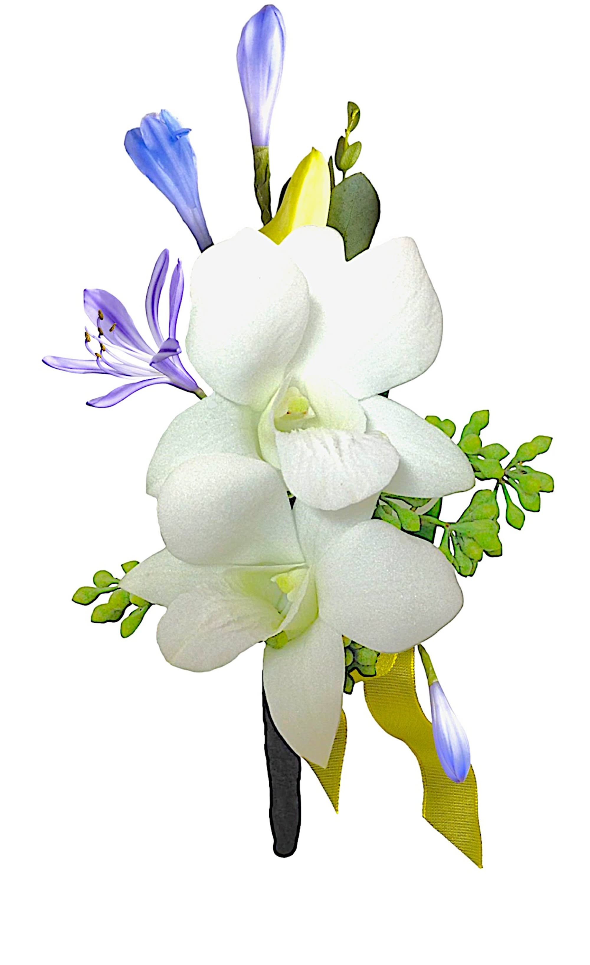 White orchid corsage with blue and purple accents and yellow ribbon
