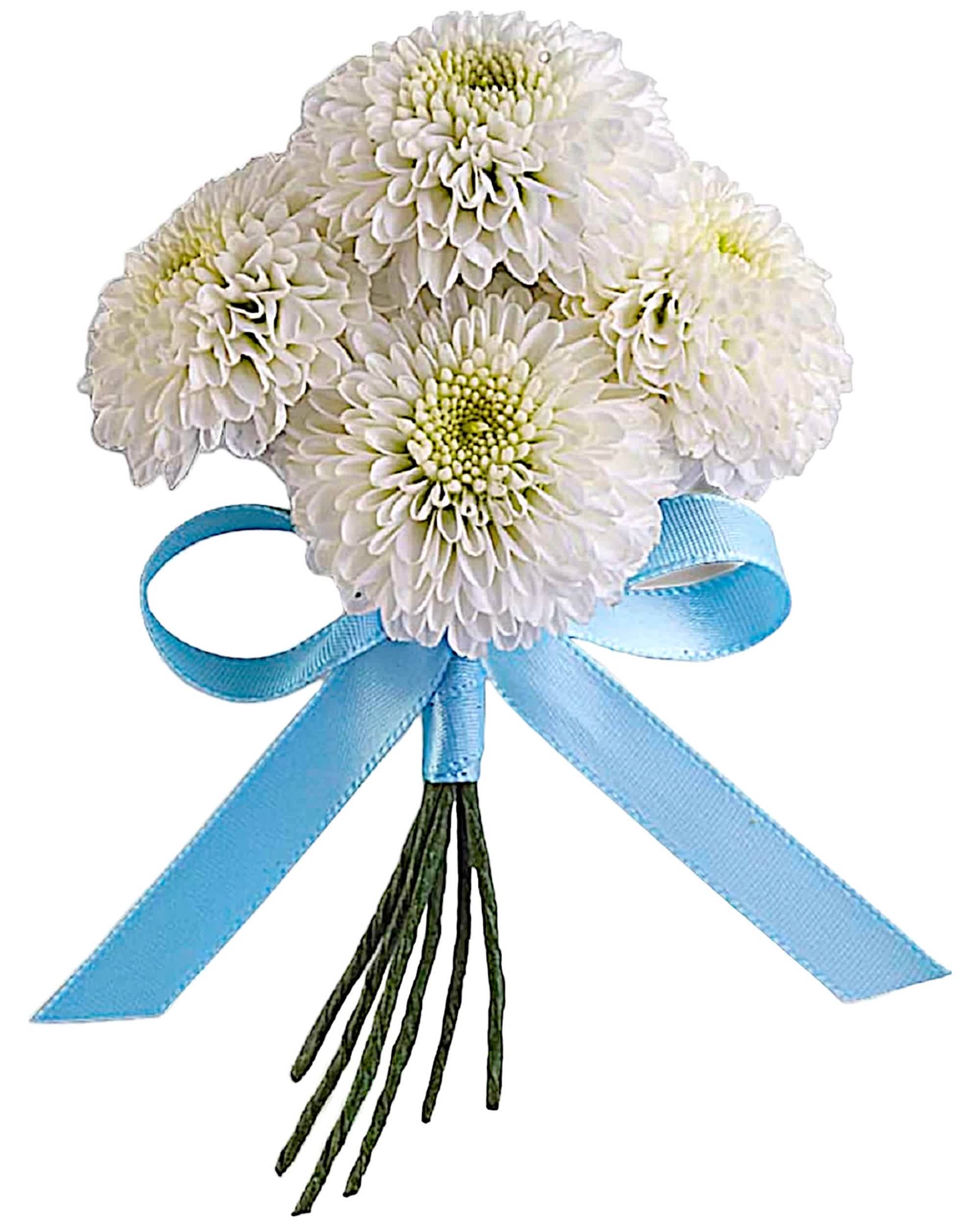 White chrysanthemum bouquet tied with a blue ribbon