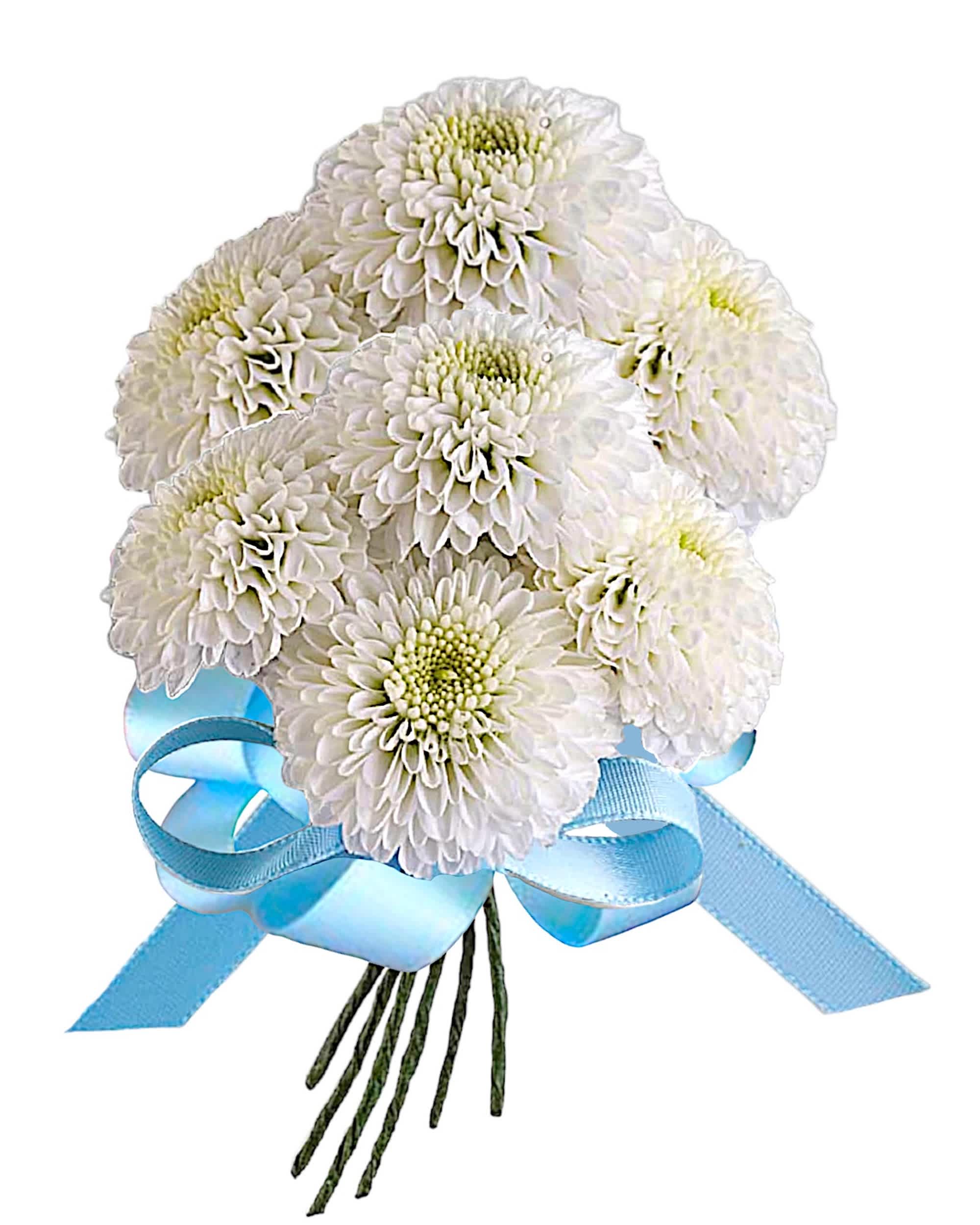 White chrysanthemum bouquet tied with a blue ribbon