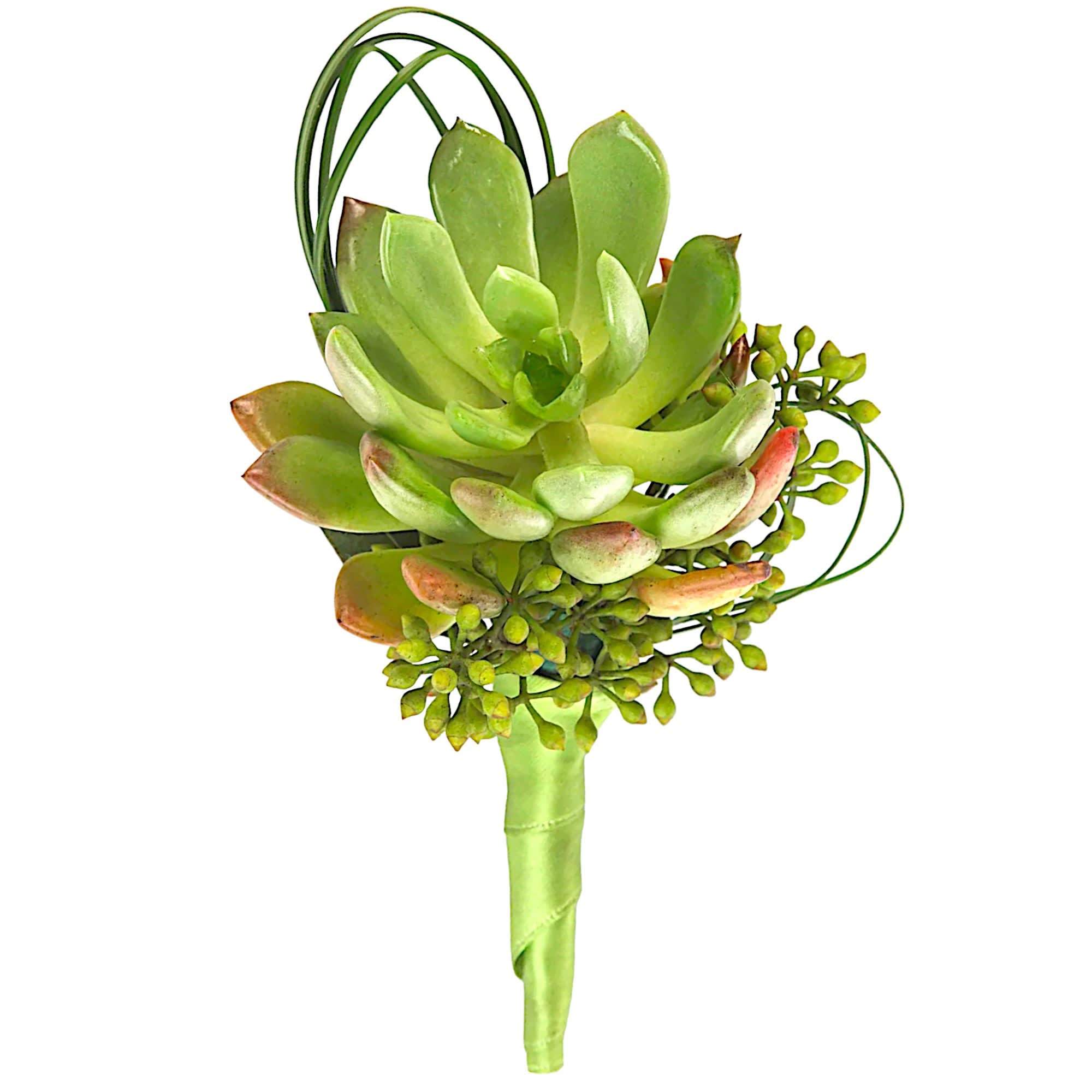 Succulent Boutonnière by BloomNation™ - Order a Fresh Flower Corsage or Boutonniere for Your Prom Date, Anniversary, Wedding, or other Special Occasion.  It’s customary for dates to buy a corsage and boutonniere. Frequently, both the corsages and boutonnieres are ordered at the same time. Doing so helps ensure that the flowers match and says, "we are a couple”, or simply just to best match each other. Depending on what your date is wearing, Ninfa's Flowers has the perfect pin-on boutonnieres, pin-on corsages, or wrist corsages.  We Deliver Your Corsage and Boutonniere Set to Your Home if you add the delivery option or you can choose to pick up your order. Your corsage and boutonniere will be delivered right to your door if you choose the delivery option. It's one less thing to worry about on prom night. With our flower sets you will look great in your prom photos. Ninfa's Flowers has the best selection of prom flowers. Prom is one of the biggest events of your young life, make it memorable!  DETAILS BOUTONNIERE: If you place your order in person at our store, (highly recommended) you can choose the color of ribbon and make customized changes/colors, etc. We recommend scheduling an appointment.  WRISTLET CORSAGE: If you want a pin-on Corsage instead, please specify under the card message. This item does not come with an enclosure card. If you place your order in person at our store, (highly recommended) you can choose the color of ribbon and make customized changes/colors, etc. We recommend scheduling an appointment.  FLORIST-TO-DOOR or PICK-UP FROM OUR STORE  Orientation: One-Sided  BLOOM DETAILS Succulent Greenery  The Standard is approximately 3 1/2" W x 4 1/2" H. Boutonniere Only. The Deluxe includes the Corsage and Boutonniere. The Corsage is approximately 3 1/2" W x 6 1/2" H.  Designed by our award-winning florist designers.  HOW TO CARE FOR YOUR FLOWERS 1. Keep refrigerated on the door of the refrigerator, away from fruits and vegetables. 2. Do not leave it in the car, hot area, or in direct sunlight, must be refrigerated until ready to wear. 3. Make sure not to rub the flowers on any surface to prevent damage. 4. These flowers are cut and don't have water. Intended for one-day use. 5. DO NOT PUT IT IN THE FREEZER OR EXTREME COLD.  Please Note: The boutonniere or corsage pictured reflects an original design for this product. While we always do our best to follow the original flower recipe, the exact flower or decoration/ribbons are sometimes unavailable. We may replace items of equal or greater value to deliver the freshest flowers possible while keeping the style &amp; color palette. We assure you that we will create a beautiful, fresh flower boutonniere/corsage with only the best quality flowers to keep you as a loyal customer.  How to place an order? We have several options. 1. You can place an order directly on this secure website... OR 2. You can call in your order by dialing: (323) 262 - 9238... OR 3. You can visit our store (appointment recommended 323.262.9238)  NINFA'S FLOWERS 2405 WHITTIER BLVD. LOS ANGELES, CA. 90023  ATTENTION: *Please note that on busy holidays, Valentine's Day, and Mother's Day, we cannot verify if the recipient received the flowers until the following day because our drivers don't turn in their signature delivery tablets until the following day. You can verify delivery on the website after 10:00 pm, call 323.262.9238 the following day after 10:00 am, or contact the recipient directly if you haven't received a call from them. Thank you for your patience and understanding.