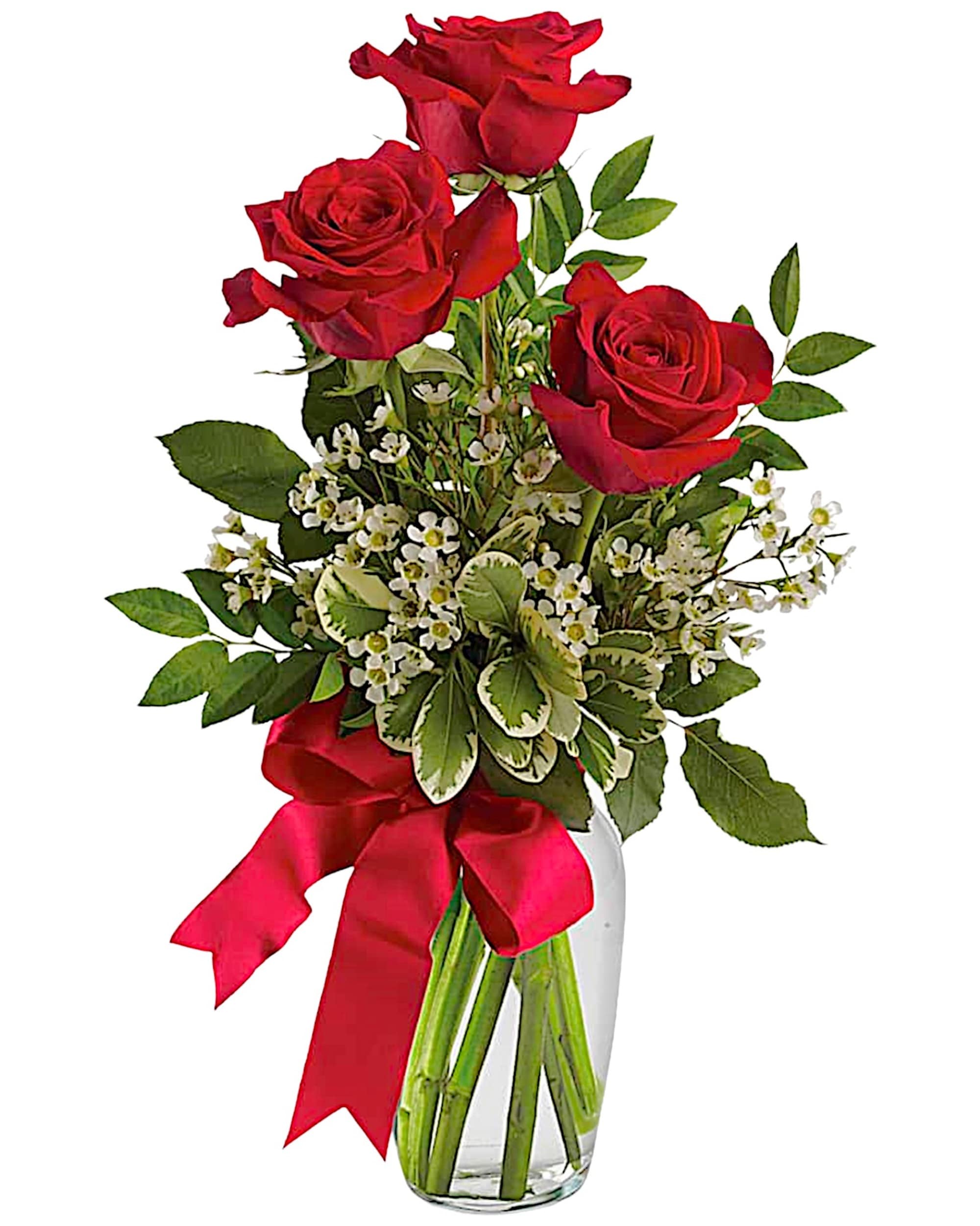 Red roses in a clear glass vase with a red ribbon