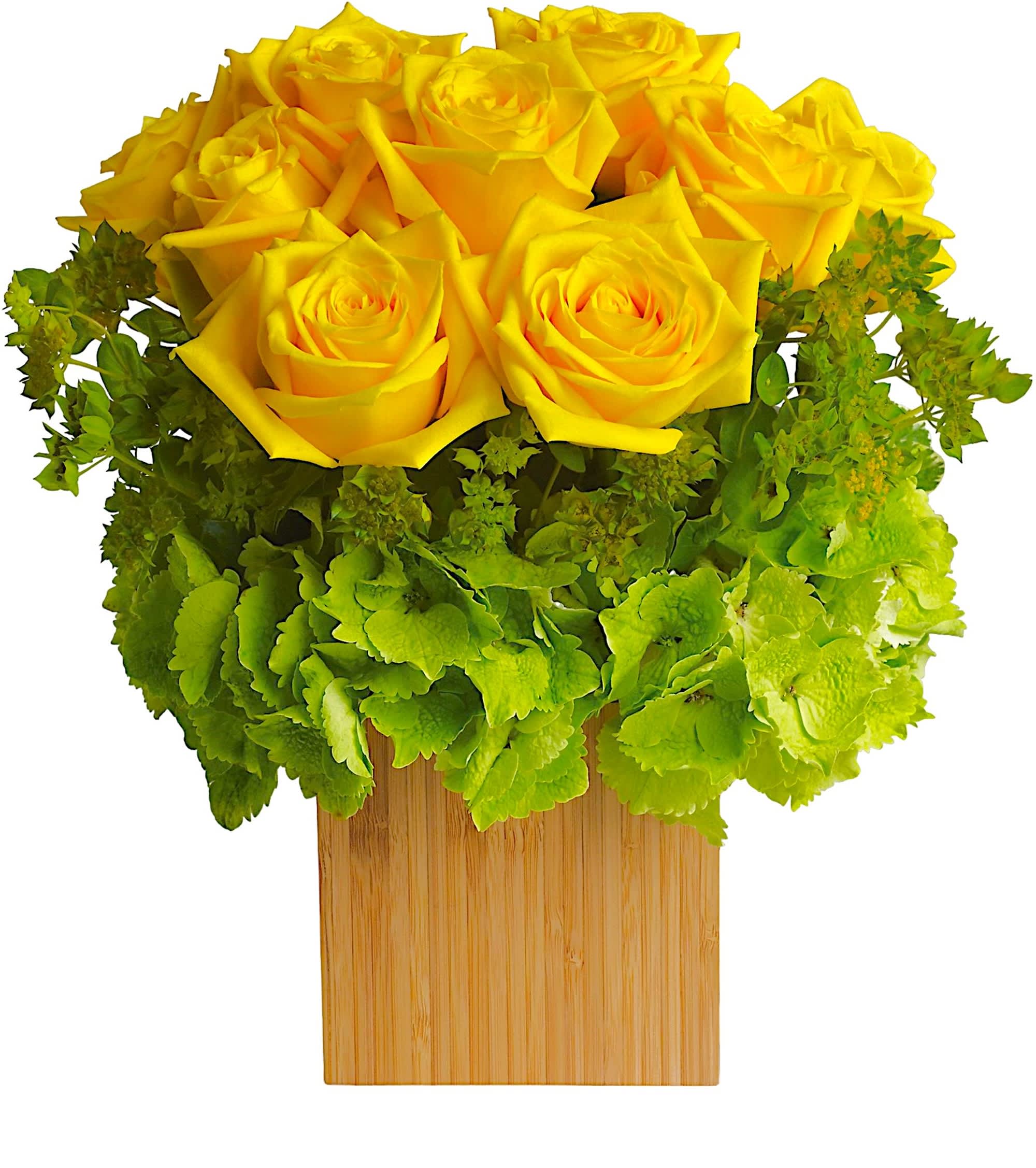 Yellow roses arranged in a wooden square vase with green hydrangea