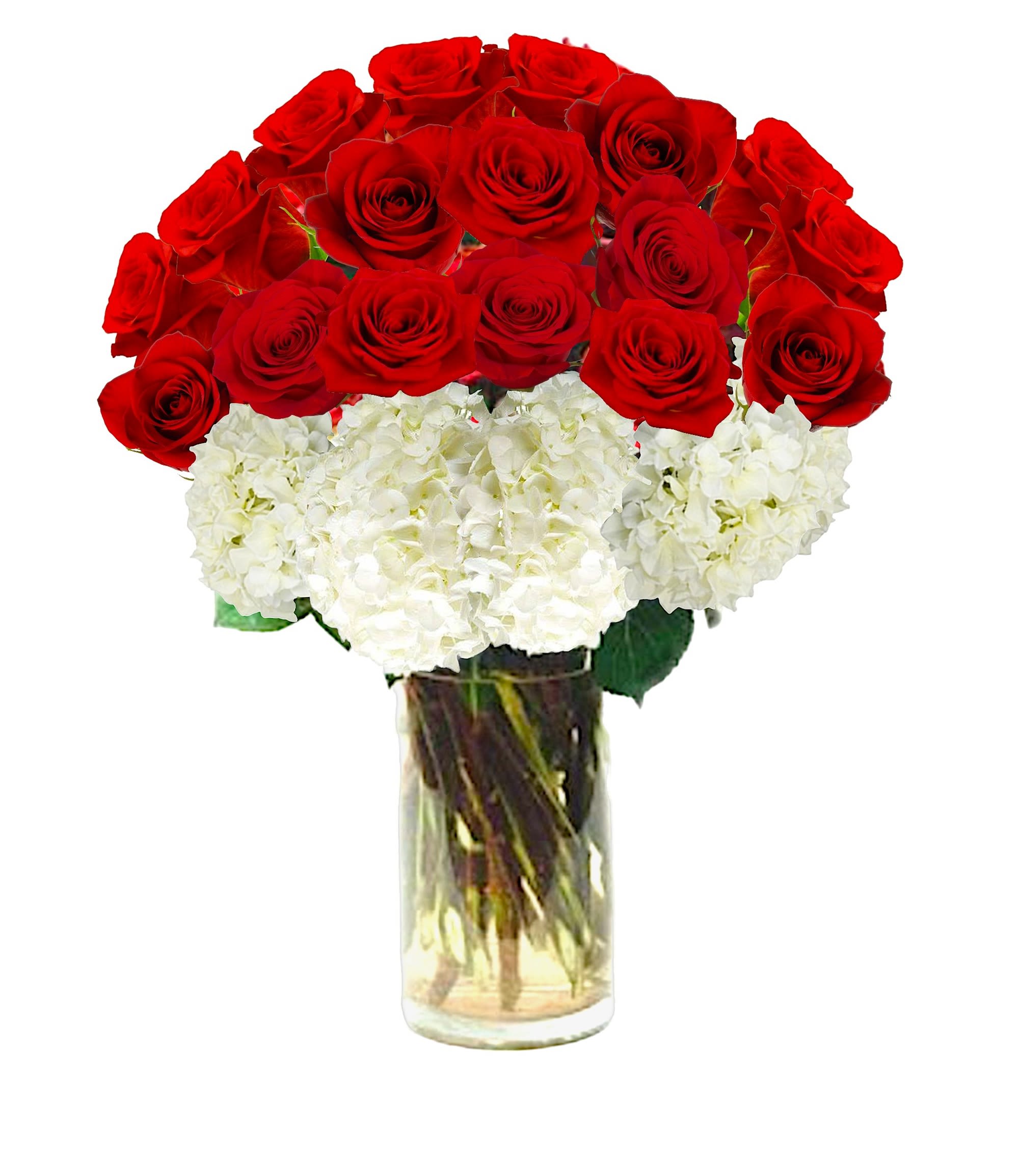 Red roses and white hydrangeas arranged in a clear glass vase