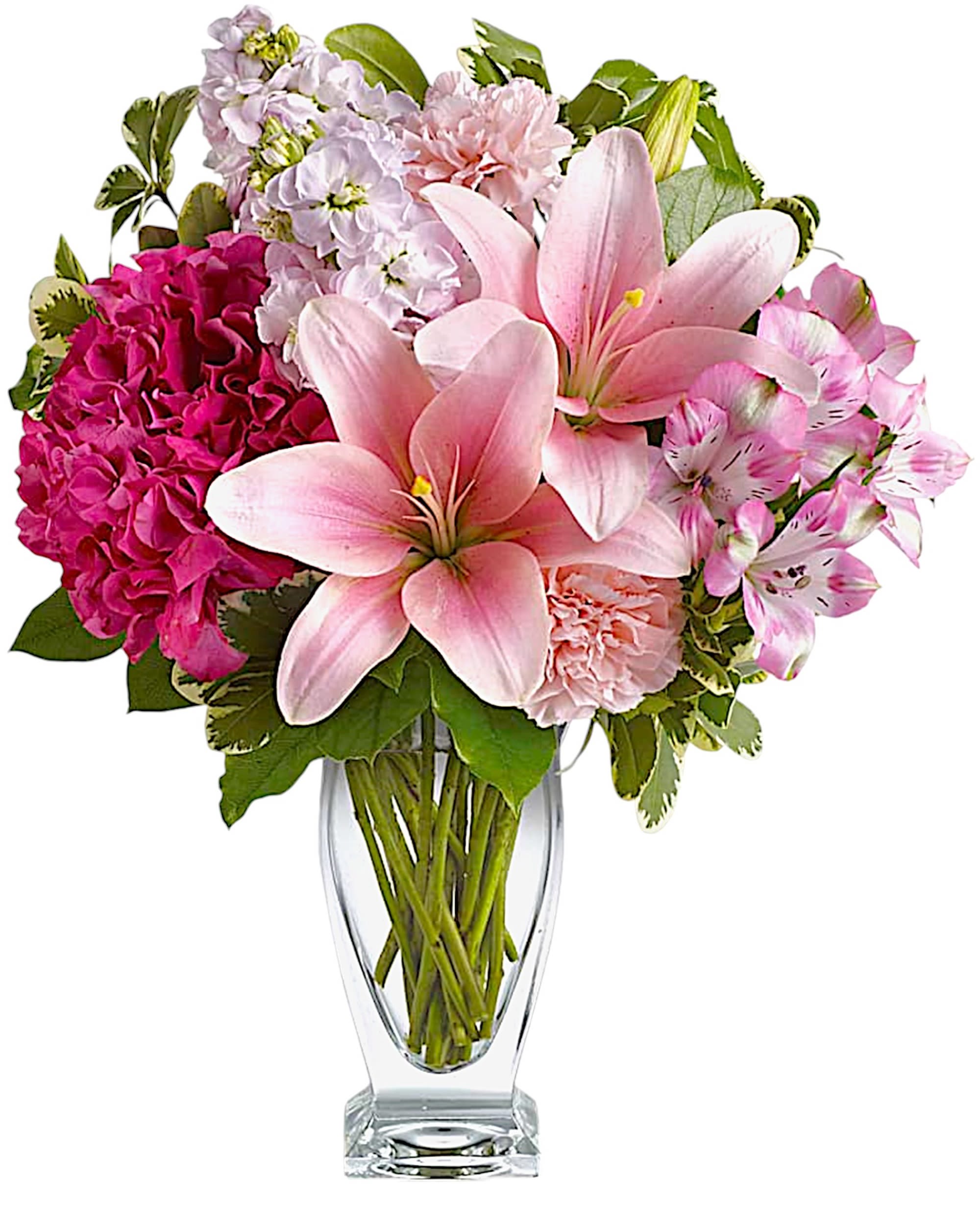 Blush of Love - Make her blush with this romantic mix of fragrant lilies and lush hydrangea in dreamy shades of pink. Presented in a glass vase, this beautiful arrangement is affection perfection!  DETAILS Includes pink hydrangea, Asiatic lilies, alstroemeria, carnations and stock, accented with fresh greens.  VASE INCLUDED Orientation: All-Around Item #NF-184  FLORIST-TO-DOOR Same day flower delivery on most orders placed online by 12 pm or 10 am on weekends PST.  BLOOM DETAILS Asiatic Lilies Alstroemerias Hydrangea Carnations Stock Greenery  The Standard Arrangement is approx. 17" H x 14" W. The Deluxe Arrangement is approx. 18" H x 14" W. The Premium Arrangement is approx. 19" H x 14" W.  How to place an order?  1. You can place an order directly on this secure website OR 2. You can call in your order by dialing: (323) 262 - 9238 OR 3. You can visit our store (appointment recommended 323.262.9238)  NINFA'S FLOWERS 2405 WHITTIER BLVD. LOS ANGELES, CA. 90023  ATTENTION: *Please note that on busy holidays, Valentine's Day, and Mother's Day, we cannot verify if the recipient received the flowers until the following day. You can verify delivery on the website after 10:00 pm, call 323.262.9238 the following day after 10:00 am, or contact the recipient directly. Thank you for your patience and understanding.