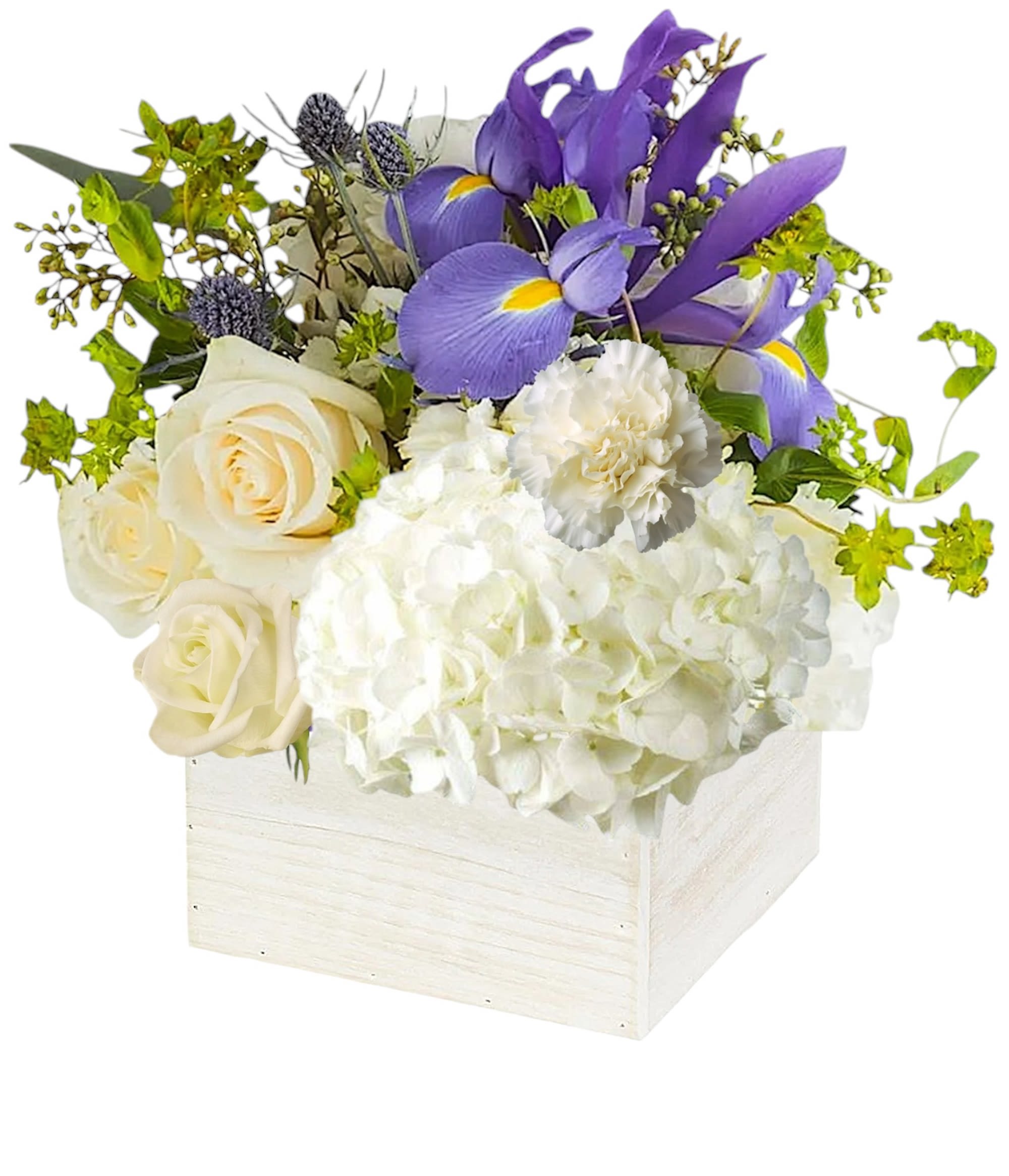 Breath of Fresh Air by BloomNation™ - This is the perfect gift for someone who can use some R &amp; R.   DETAILS The arrangement contains roses, carnations, blue iris, and other seasonal blooms.   WOODEN BOX INCLUDED Orientation: All-Around Item #NF-954  FLORIST-TO-DOOR Same day flower delivery on most orders placed online by 12 pm or 10 am on weekends PST.  BLOOM DETAILS Roses Hydrangeas Carnation Iris Eryngium Bupleurum Filler Greenery  The Standard Arrangement is approx. 8" W x 8" H. (SHOWN) The Deluxe Arrangement is approx. 8.5" W x 8.5" H. The Premium Arrangement is approx. 9" W x 9" H.  How to place an order?  1. You can place an order directly on this secure website. OR 2. You can call in your order by dialing: (323) 262 - 9238 OR 3. You can visit our store (appointment recommended 323.262.9238)  NINFA'S FLOWERS 2405 WHITTIER BLVD. LOS ANGELES, CA. 90023  ATTENTION: *Please note that on busy holidays, Valentine's Day, and Mother's Day, we cannot verify if the recipient received the flowers until the following day. You can verify delivery on the website after 10:00 pm, call 323.262.9238 the following day after 10:00 am, or contact the recipient directly. Thank you for your patience and understanding.