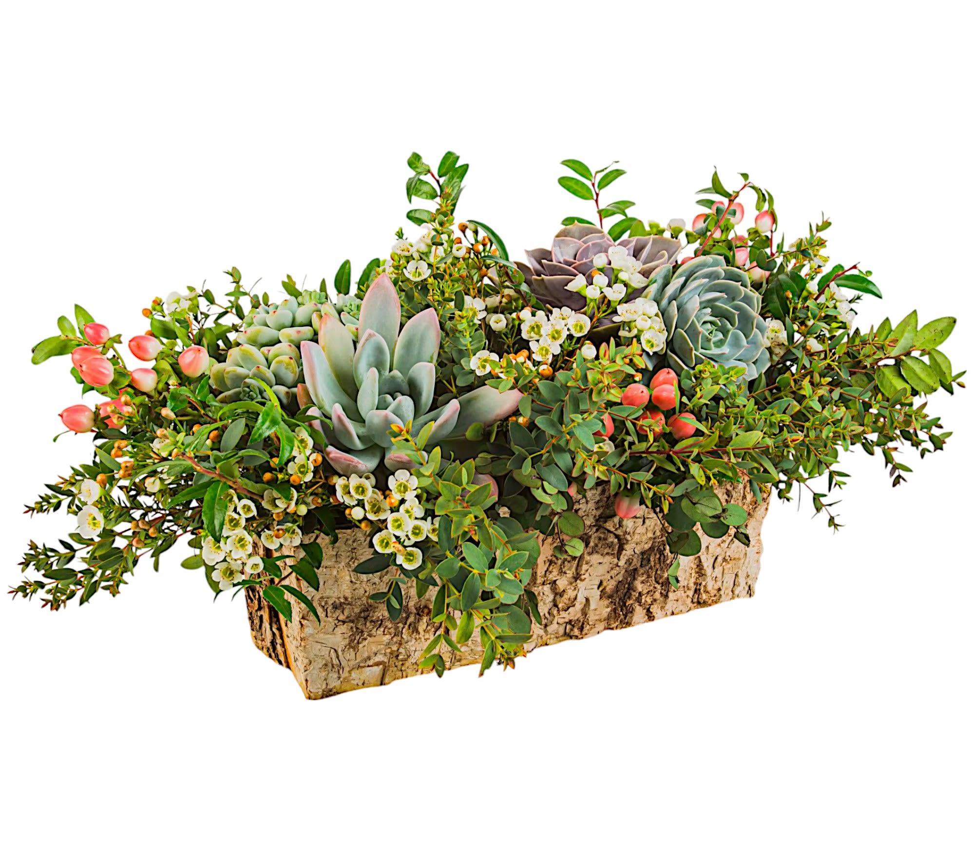 English Garden by BloomNation™ - When spending the summer in an English country estate with Jane Austen or the royal family isn't an option, English Garden by BloomNation™ is the next best thing. This long-lasting centerpiece style arrangement features a variety of greenery, filler, succulents and berries.  DETAILS Succulents, flowers, greenery and fillers.   BOX INCLUDED Orientation: All-Around Item #NF-277  FLORIST-TO-DOOR Same day flower delivery on most orders placed online by 12 pm or 10 am on weekends PST.  BLOOM DETAILS Succulents Hypericum Berry Wax-Flower Filler Huckleberry Greenery Greenery  The Standard Arrangement is approx. 10" H x 22" W. The Deluxe Arrangement is approx. 10" H x 22" W. The Premium Arrangement is approx. 10" H x 22" W.  How to place an order? 1. You can place an order directly on this secure website OR 2. You can call in your order by dialing: (323) 262 - 9238 OR 3. You can visit our store (appointment recommended 323.262.9238)  NINFA'S FLOWERS 2405 WHITTIER BLVD. LOS ANGELES, CA. 90023  ATTENTION: *Please note that on busy holidays, Valentine's Day, and Mother's Day, we cannot verify if the recipient received the flowers until the following day. You can verify delivery on the website after 10:00 pm, call 323.262.9238 the following day after 10:00 am, or contact the recipient directly. Thank you for your patience and understanding.