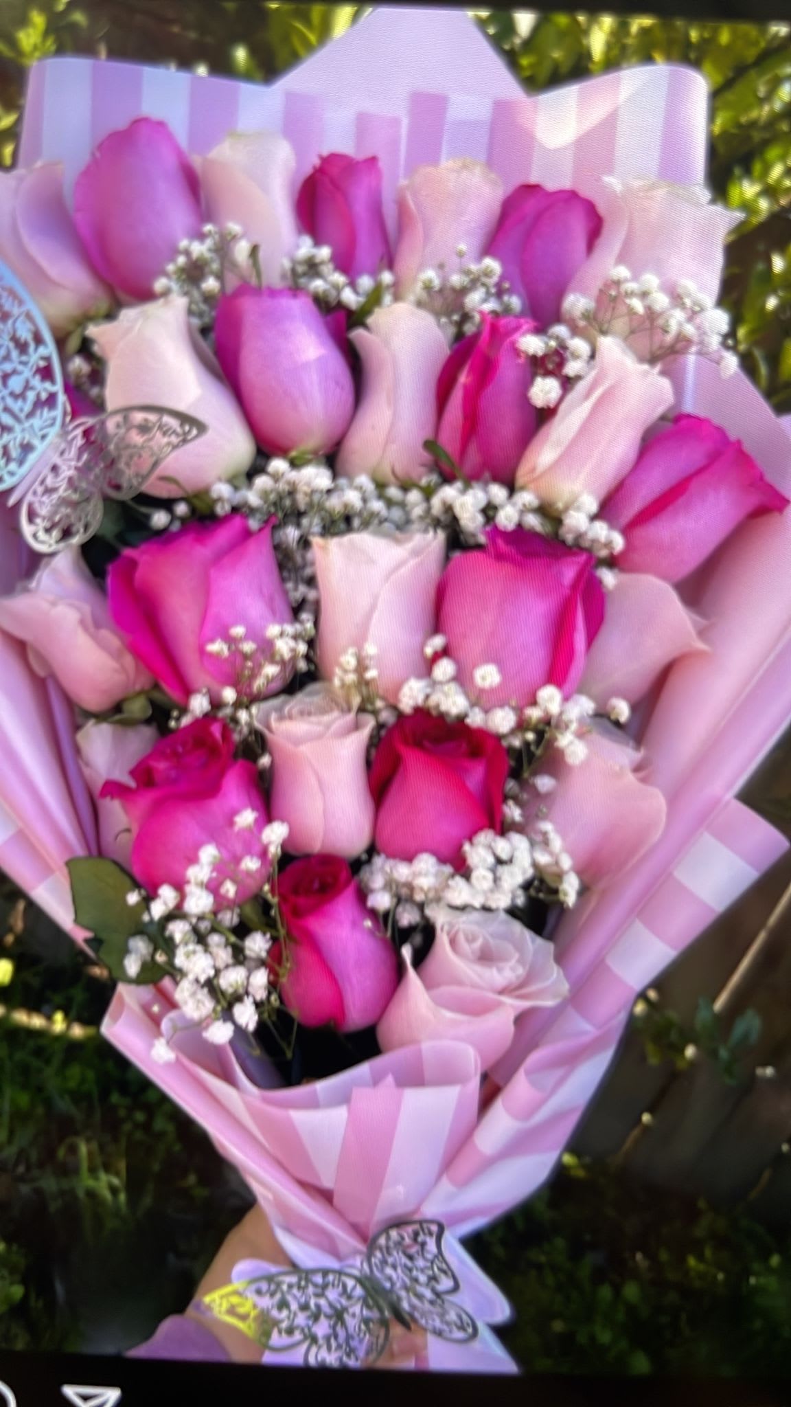 Bouquet of pink and lavender roses with baby's breath in striped wrapping