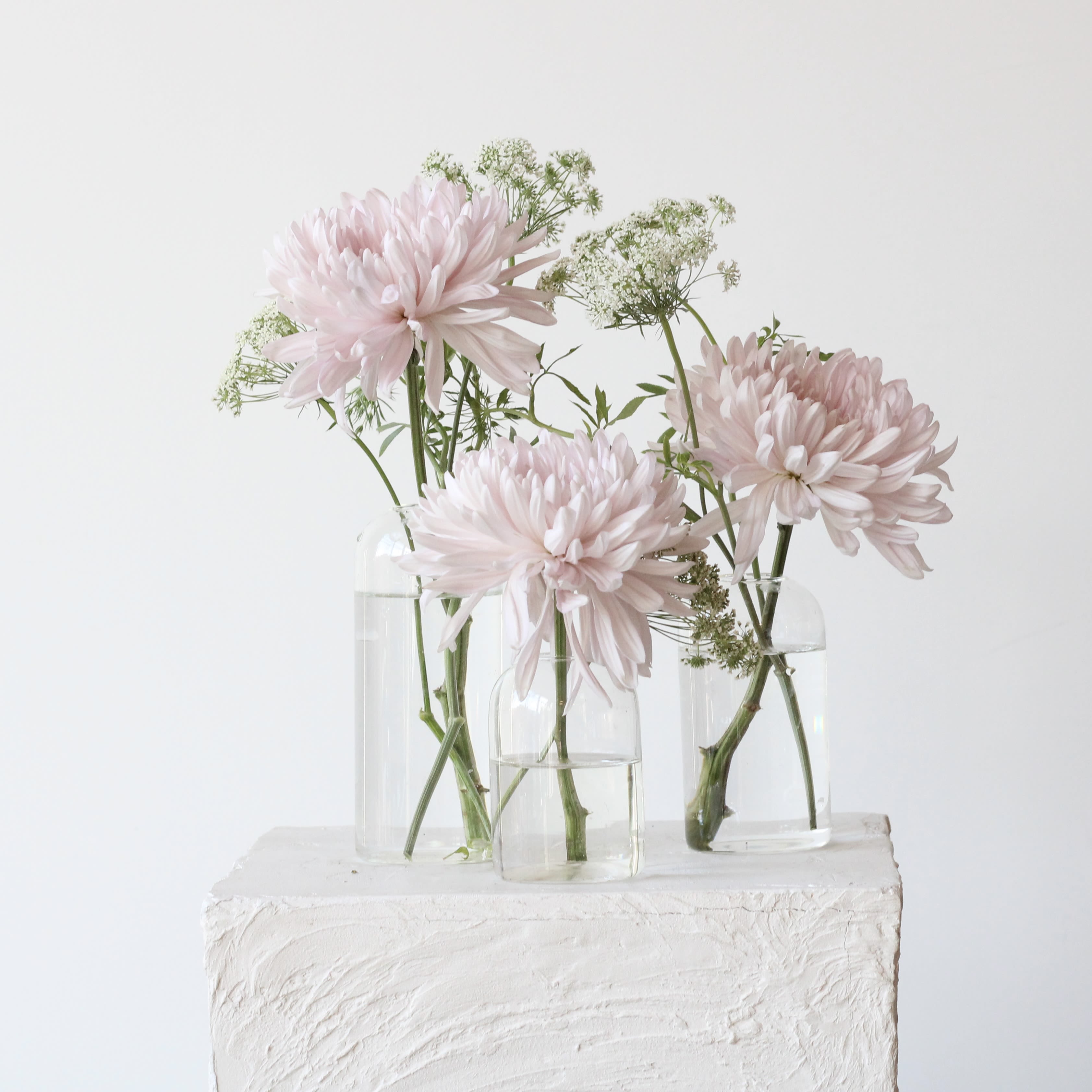Three pale pink flowers in clear glass vases on a white pedestal