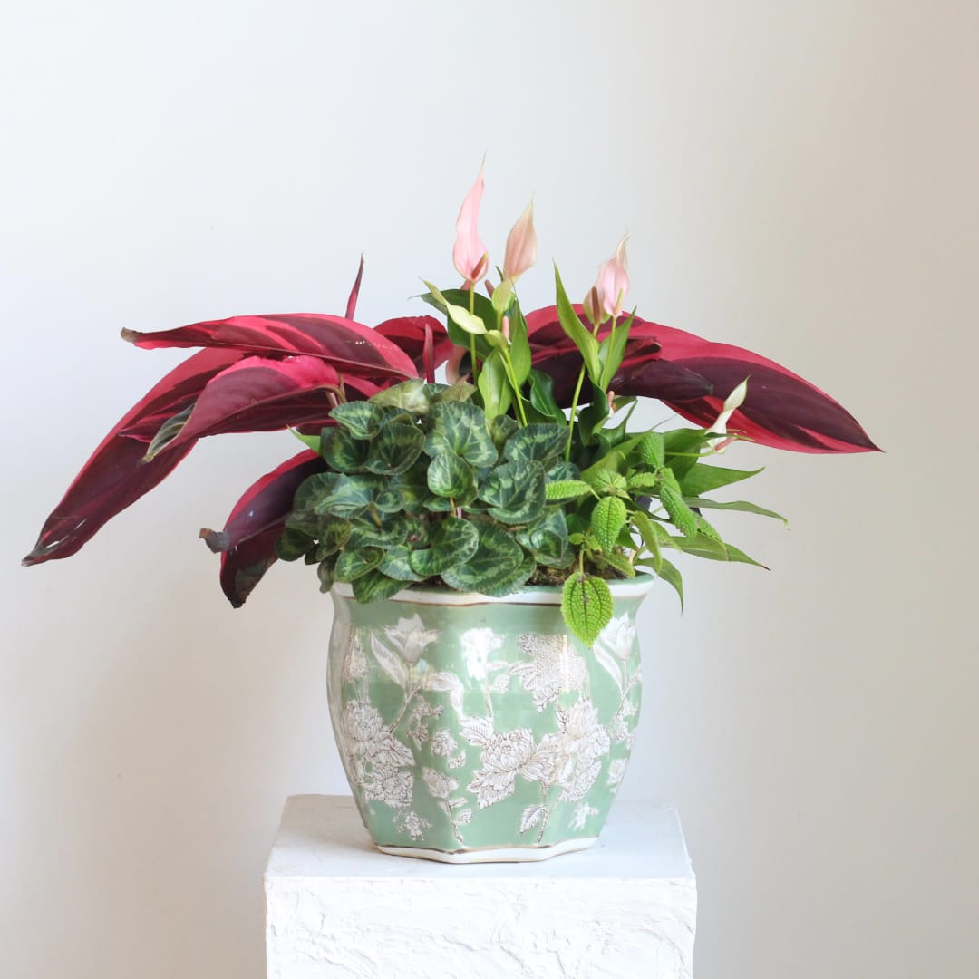 Potted plant arrangement with pink blooms in a green floral ceramic pot