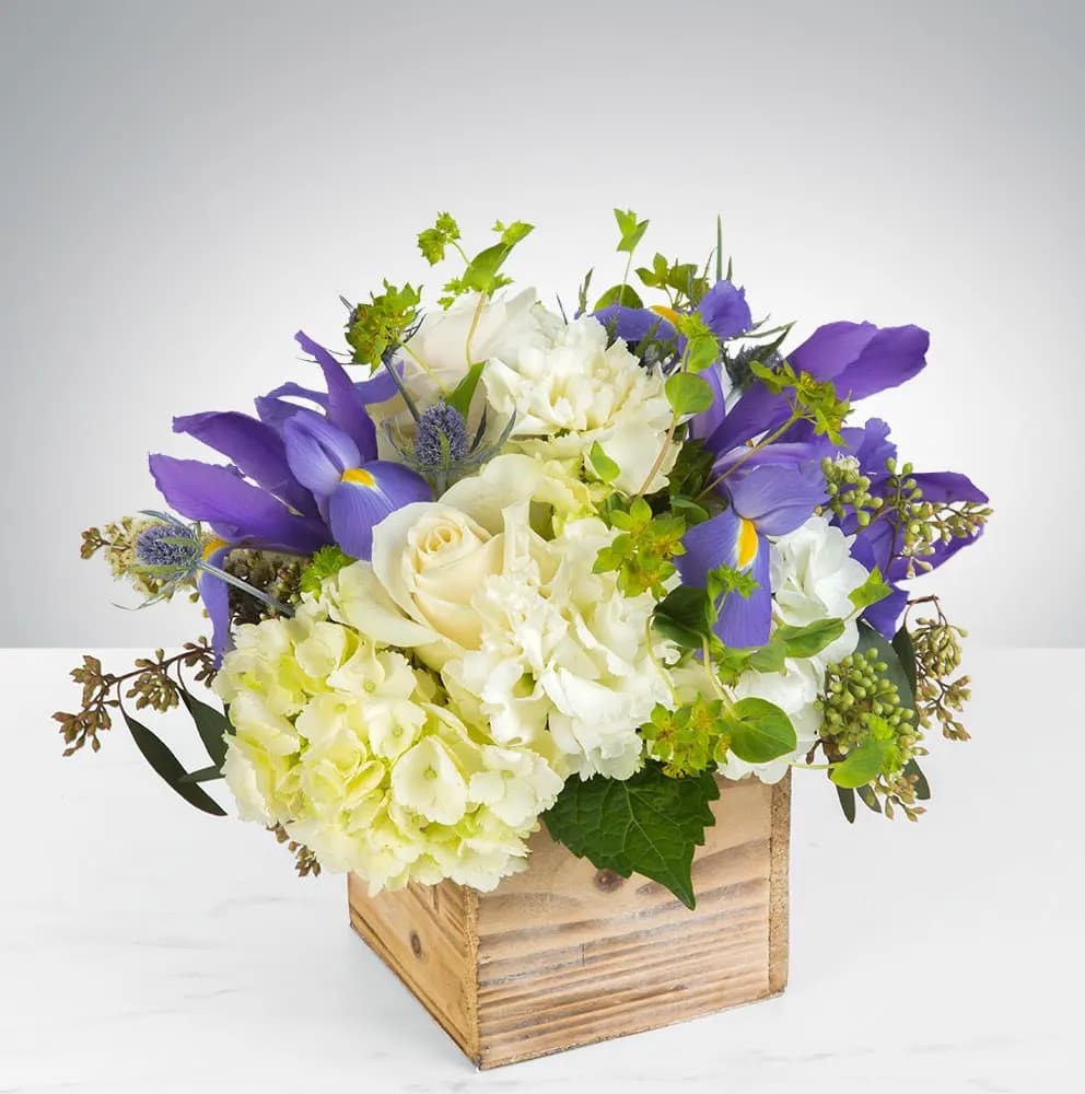 Breath of Fresh Air by BloomNation™ - This is the perfect gift for someone who can use some R &amp; R. The arrangement contains roses, carnations, blue iris, and other seasonal blooms. APPROXIMATE DIMENSIONS: 8" L x 8" W x 8" H