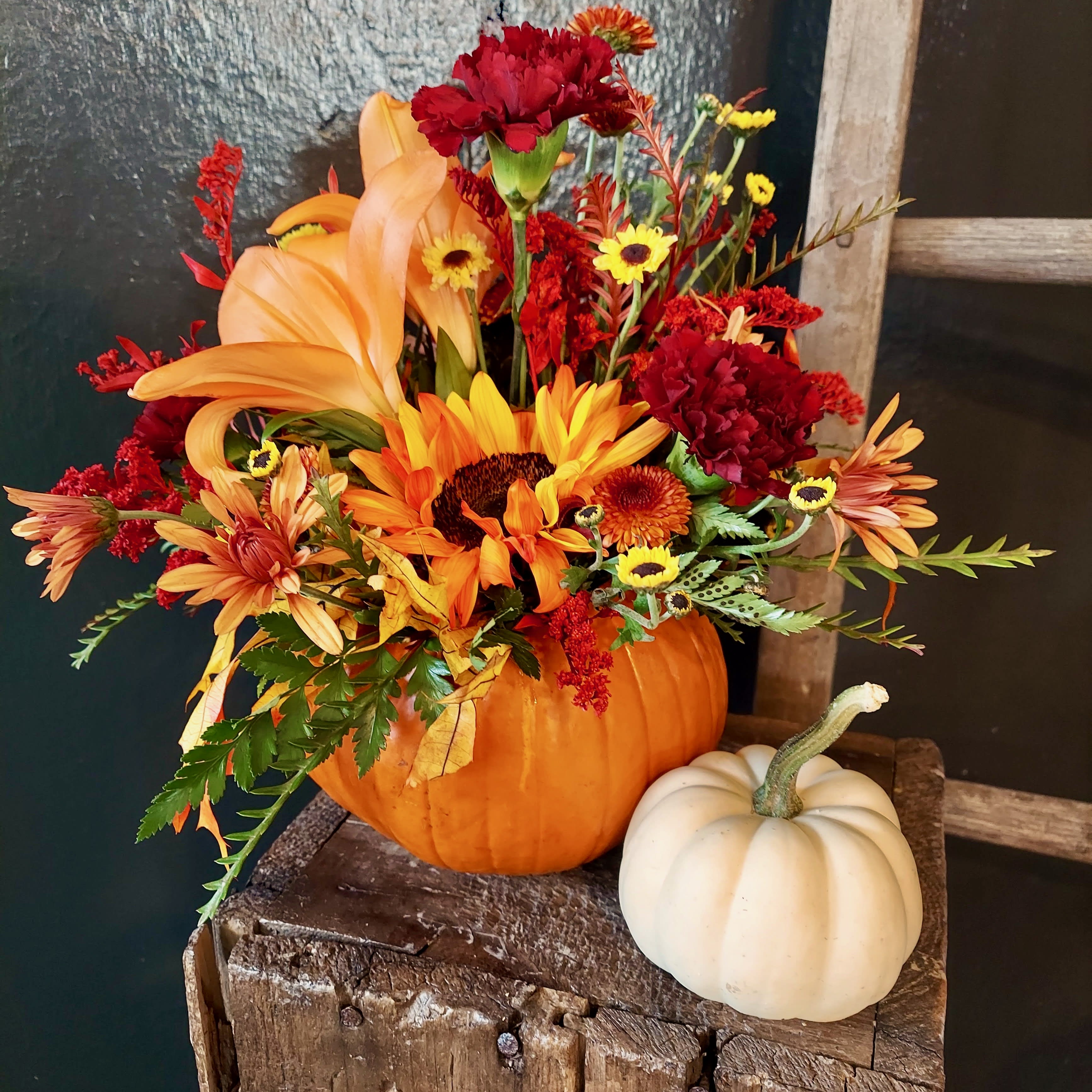 Feeling Thankful - The pumpkin perfect centerpiece for your Thankgiving celebration.  This Sunnyside Specialty is the perfect pairing for your delicious Thanksgiving meal and gathering.