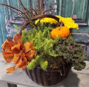 Harvest Planter Basket - Send a harvest planter basket to someone today!  Makes a perfect hostess gift for your Thanksgiving invitation.