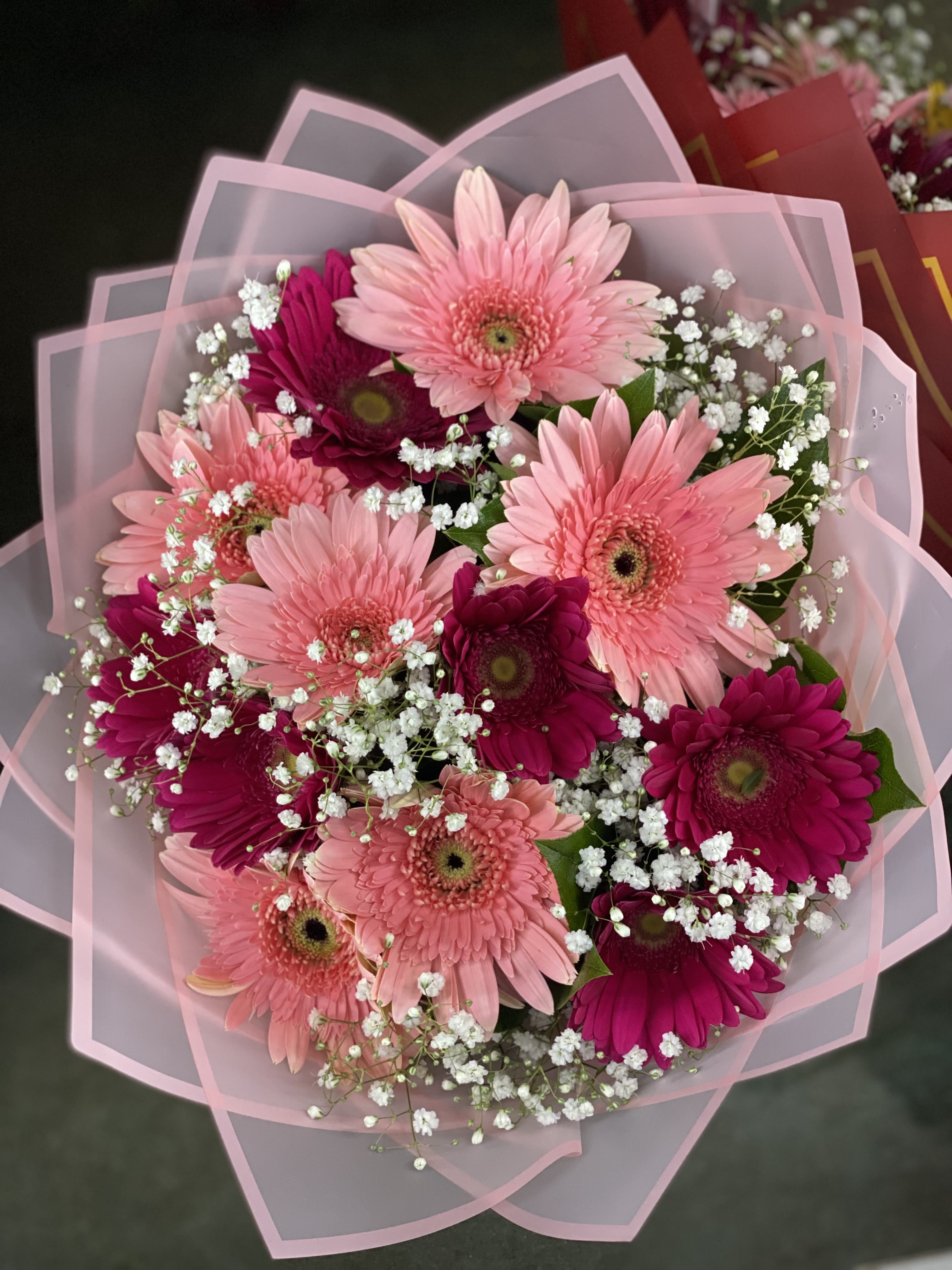 Pink and magenta gerbera daisy bouquet with baby's breath in pink wrap